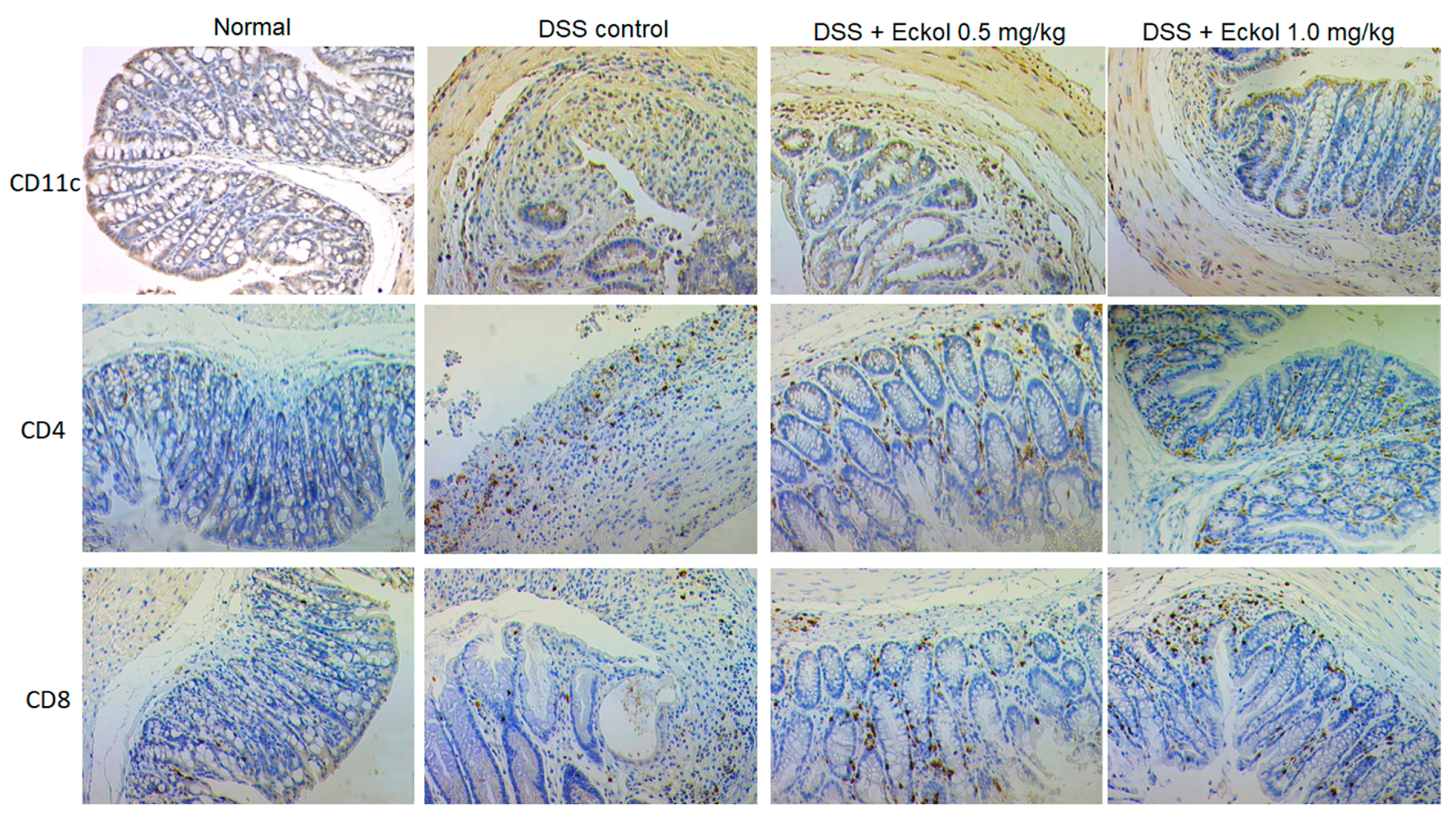 Marinedrugs 21 00376 g003