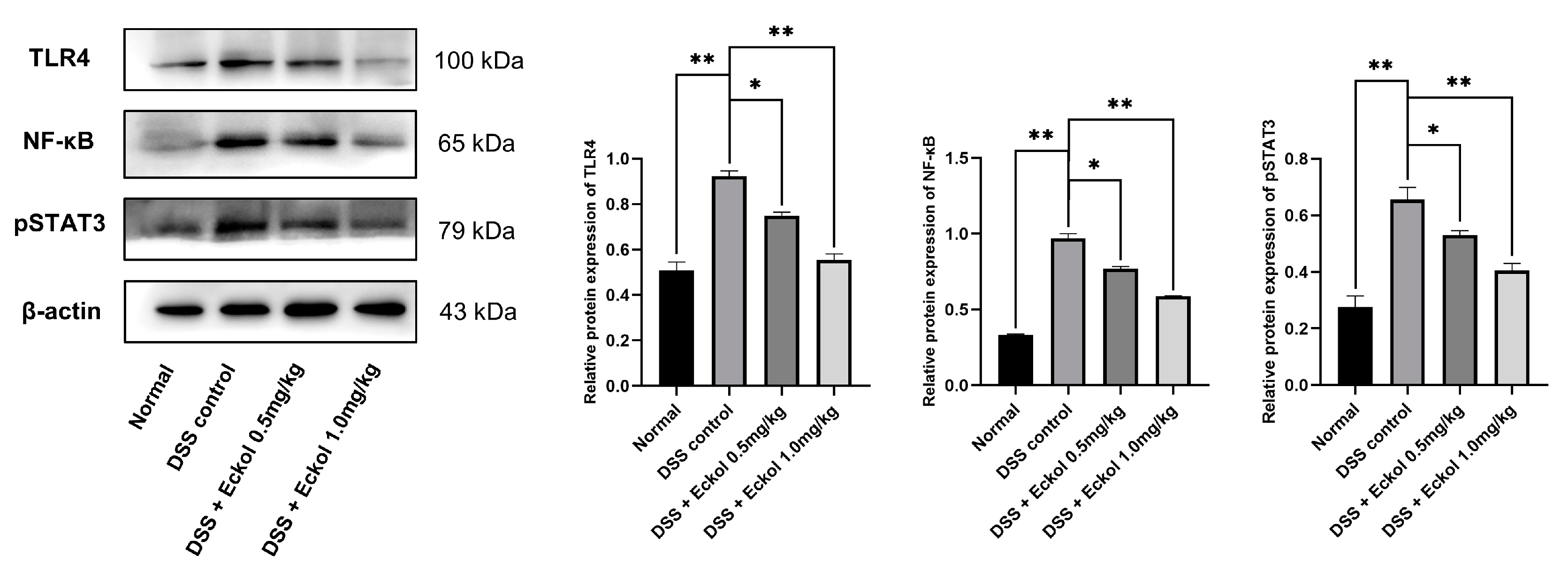 Marinedrugs 21 00376 g004