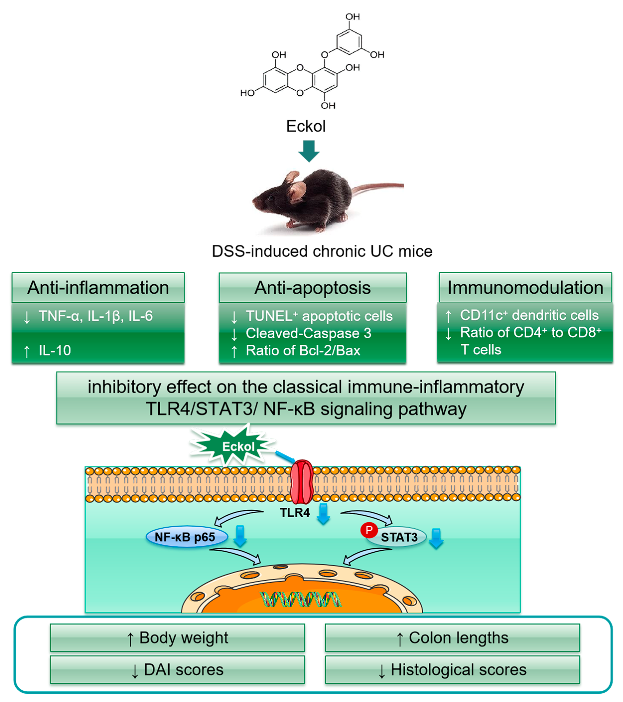 Marinedrugs 21 00376 g005