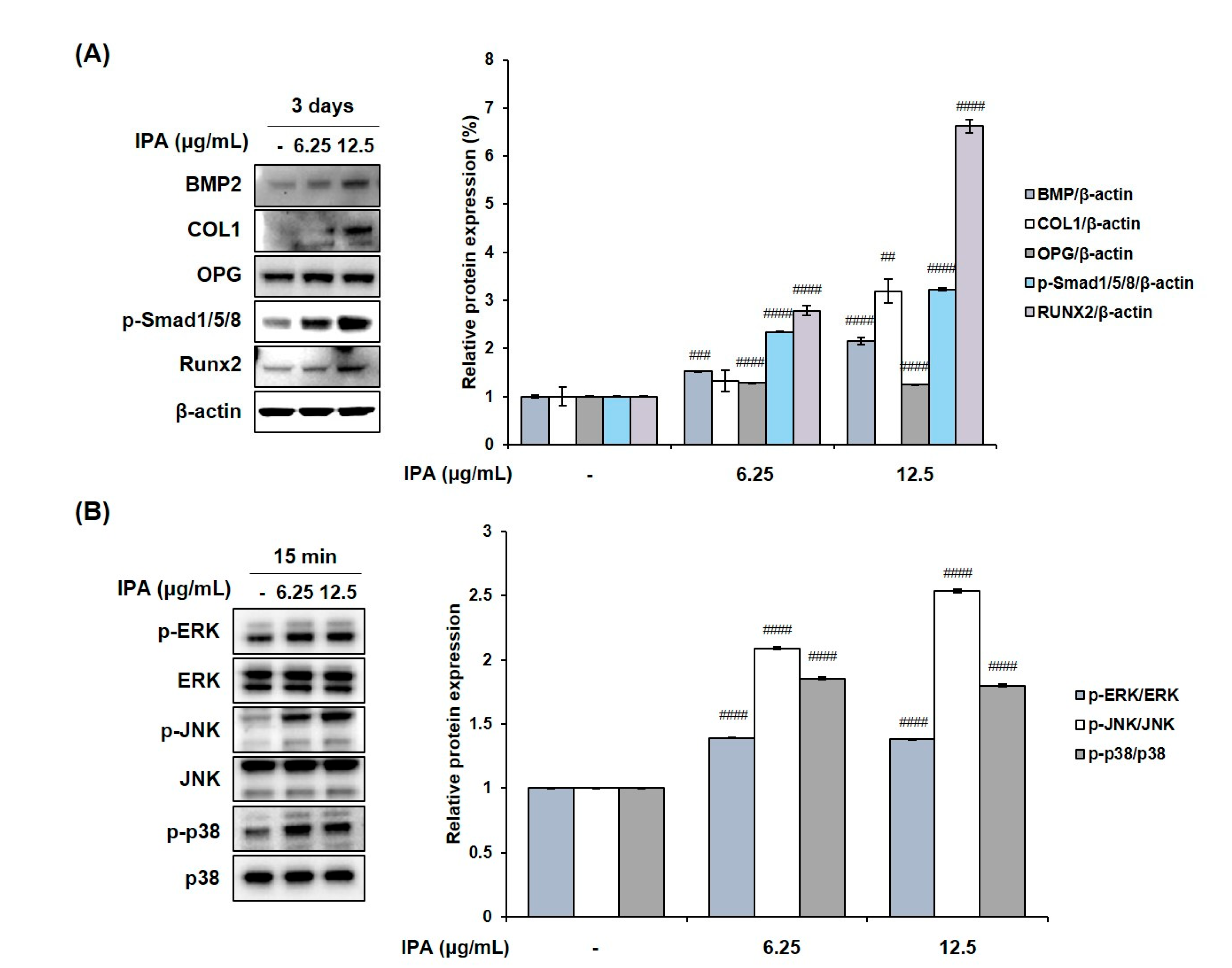 Marinedrugs 21 00377 g008