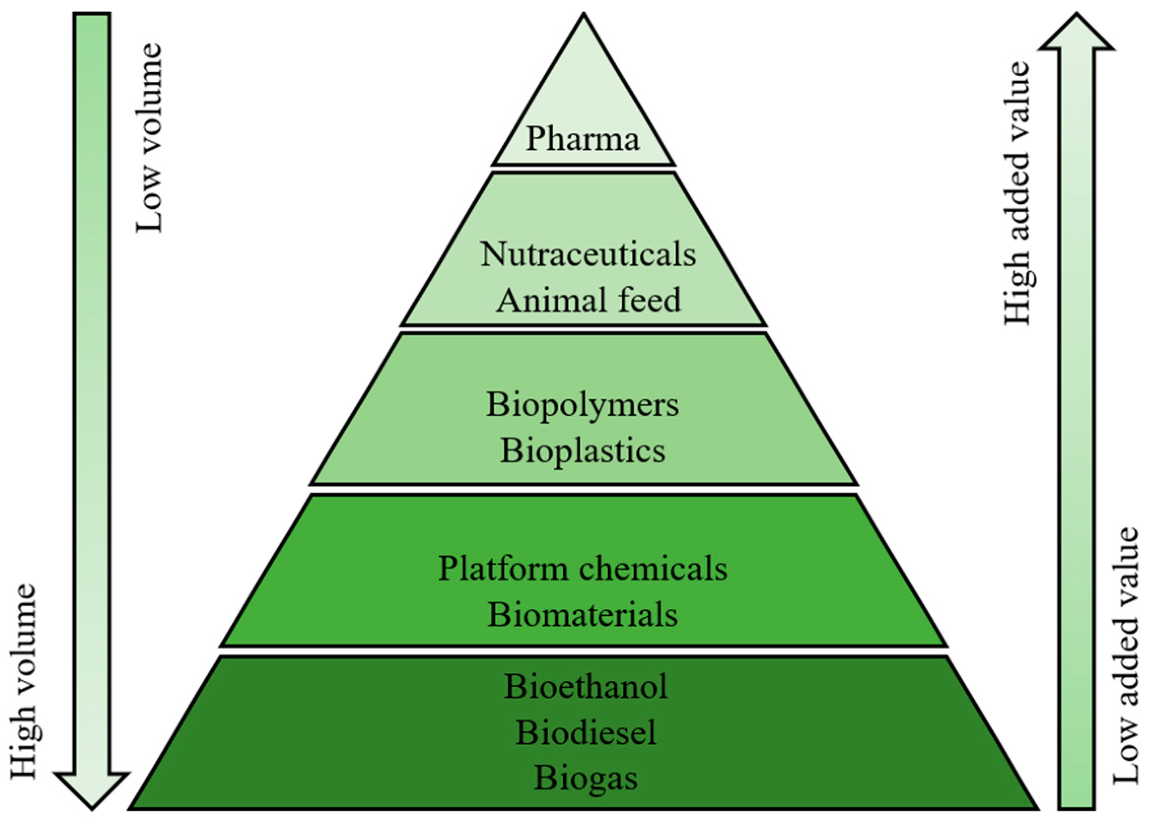 Marinedrugs 21 00380 g001 Marinedrugs 21 00380 g001