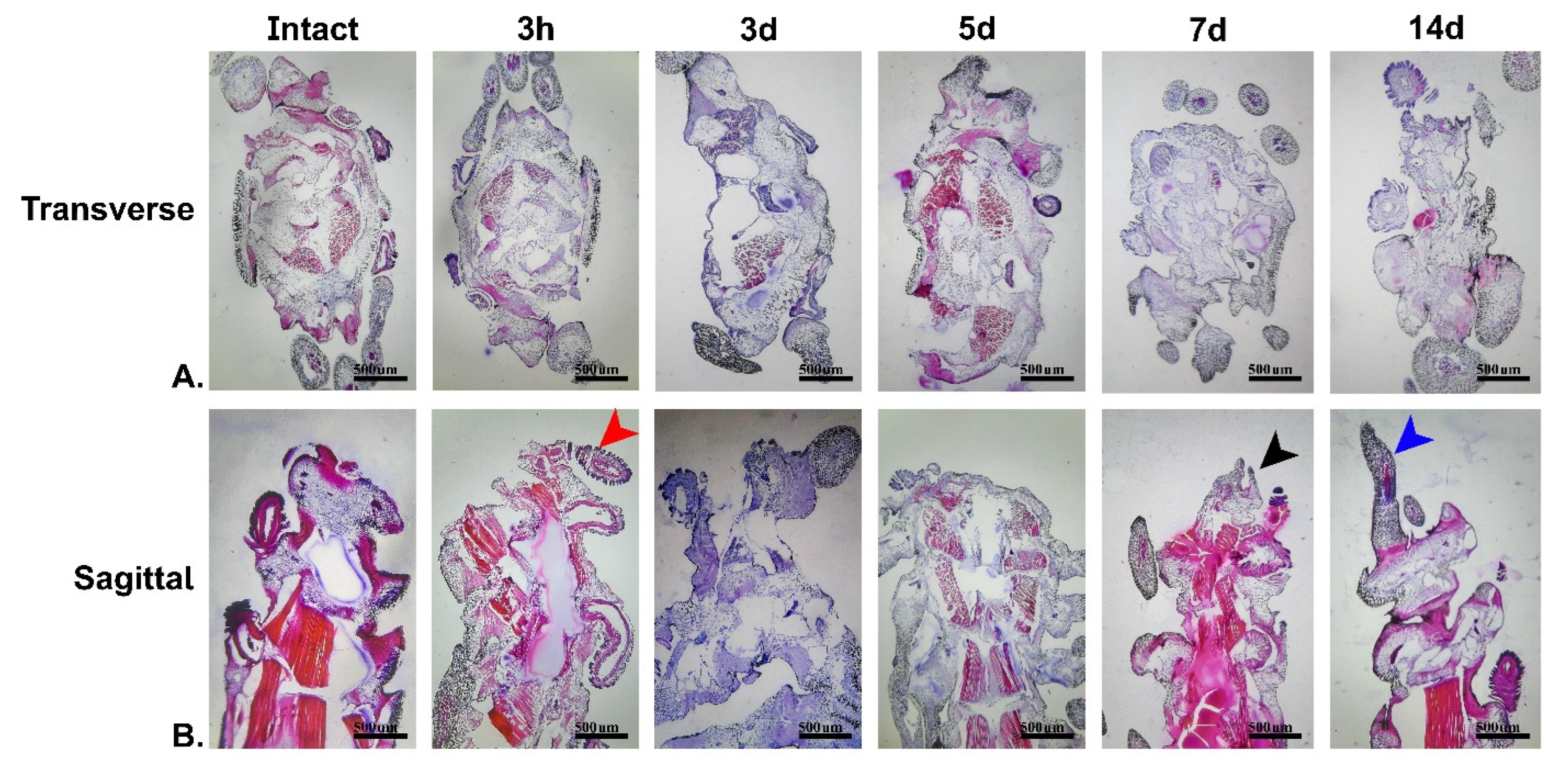 Marinedrugs 21 00381 g002