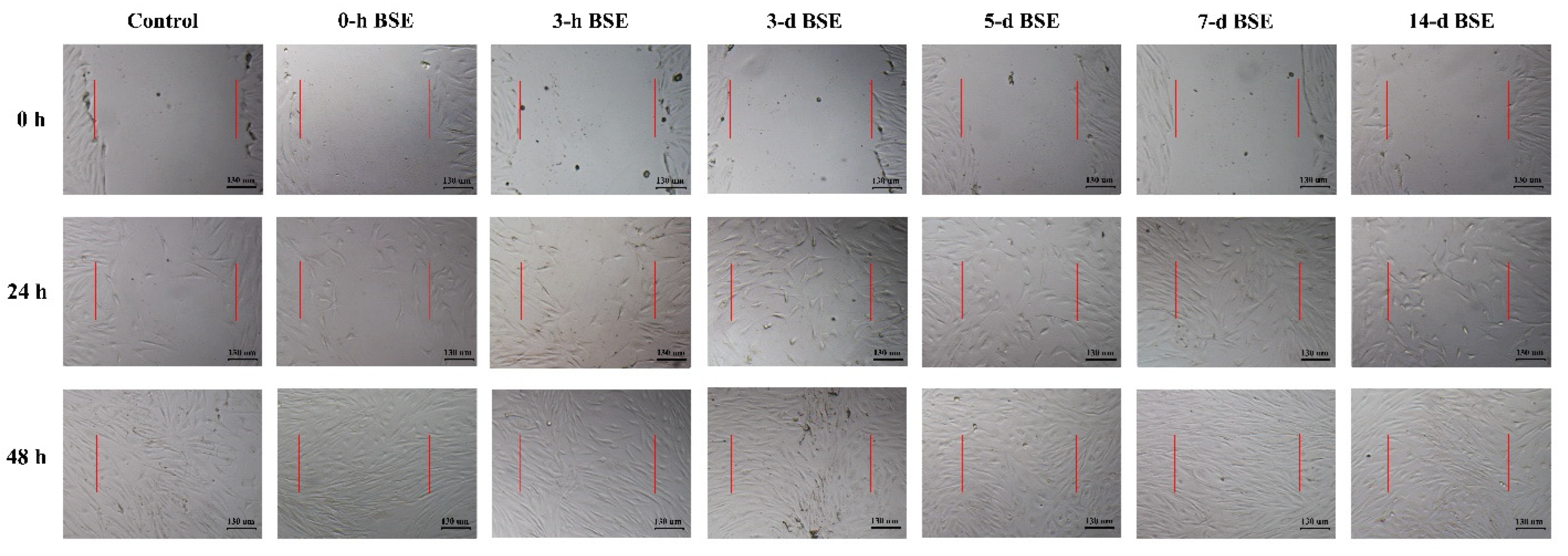 Marinedrugs 21 00381 g004