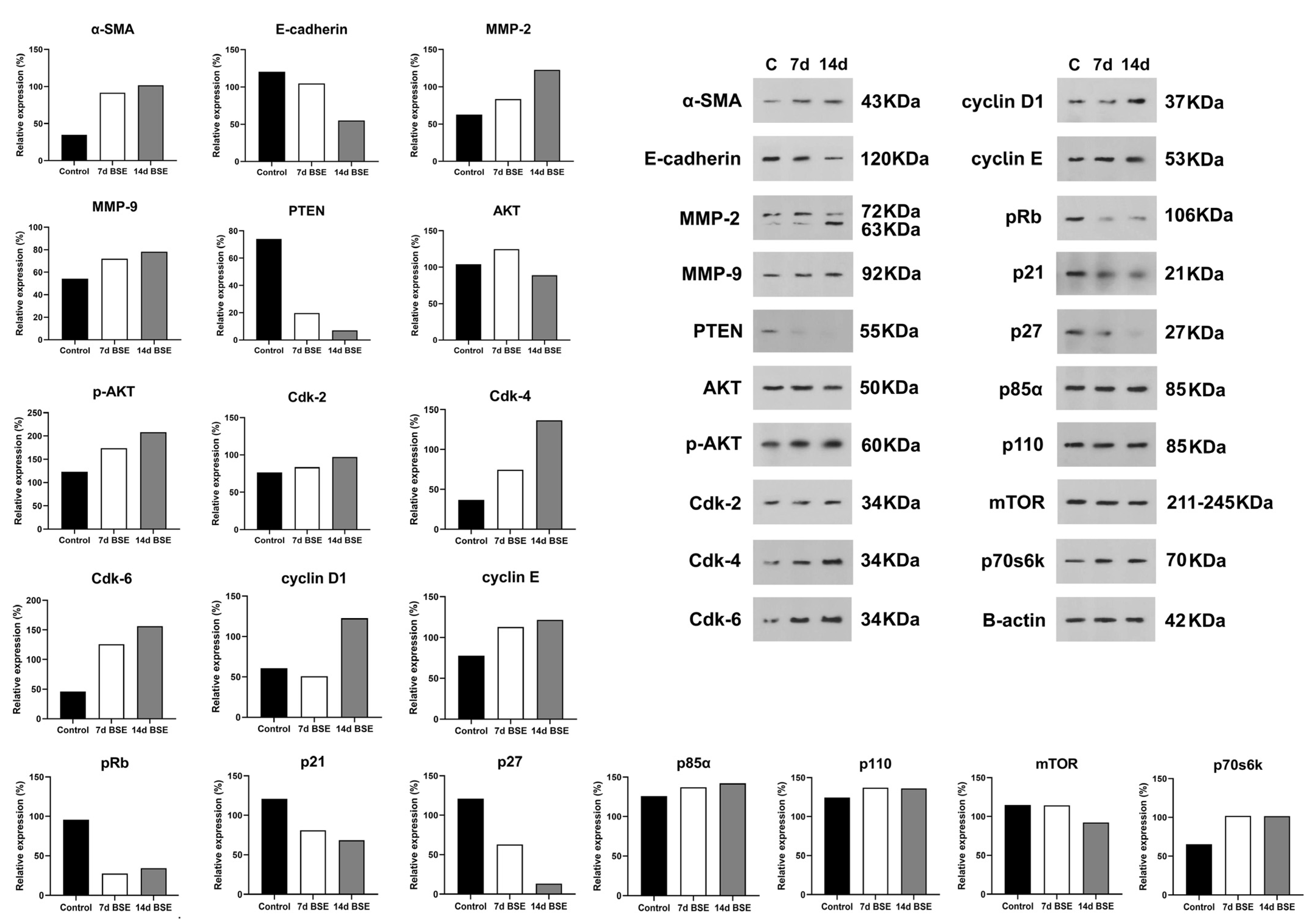 Marinedrugs 21 00381 g006