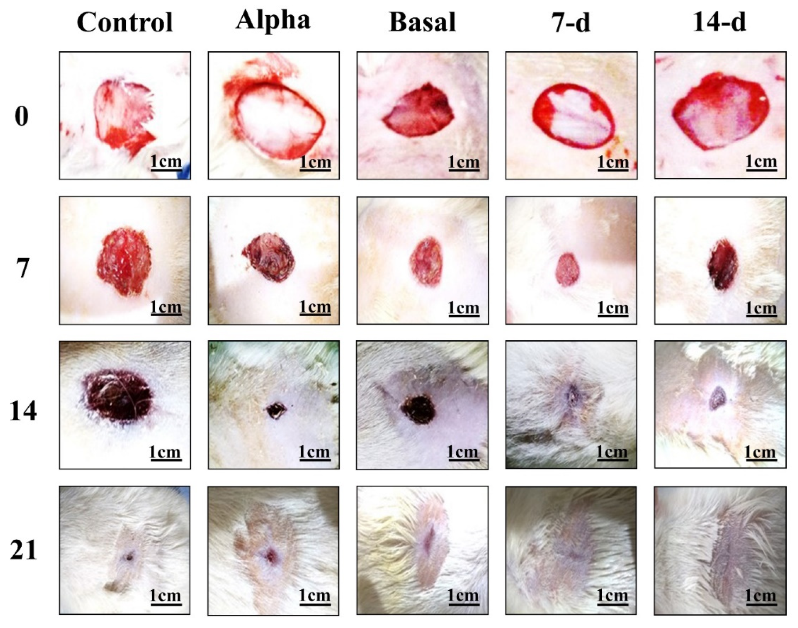 Marinedrugs 21 00381 g009