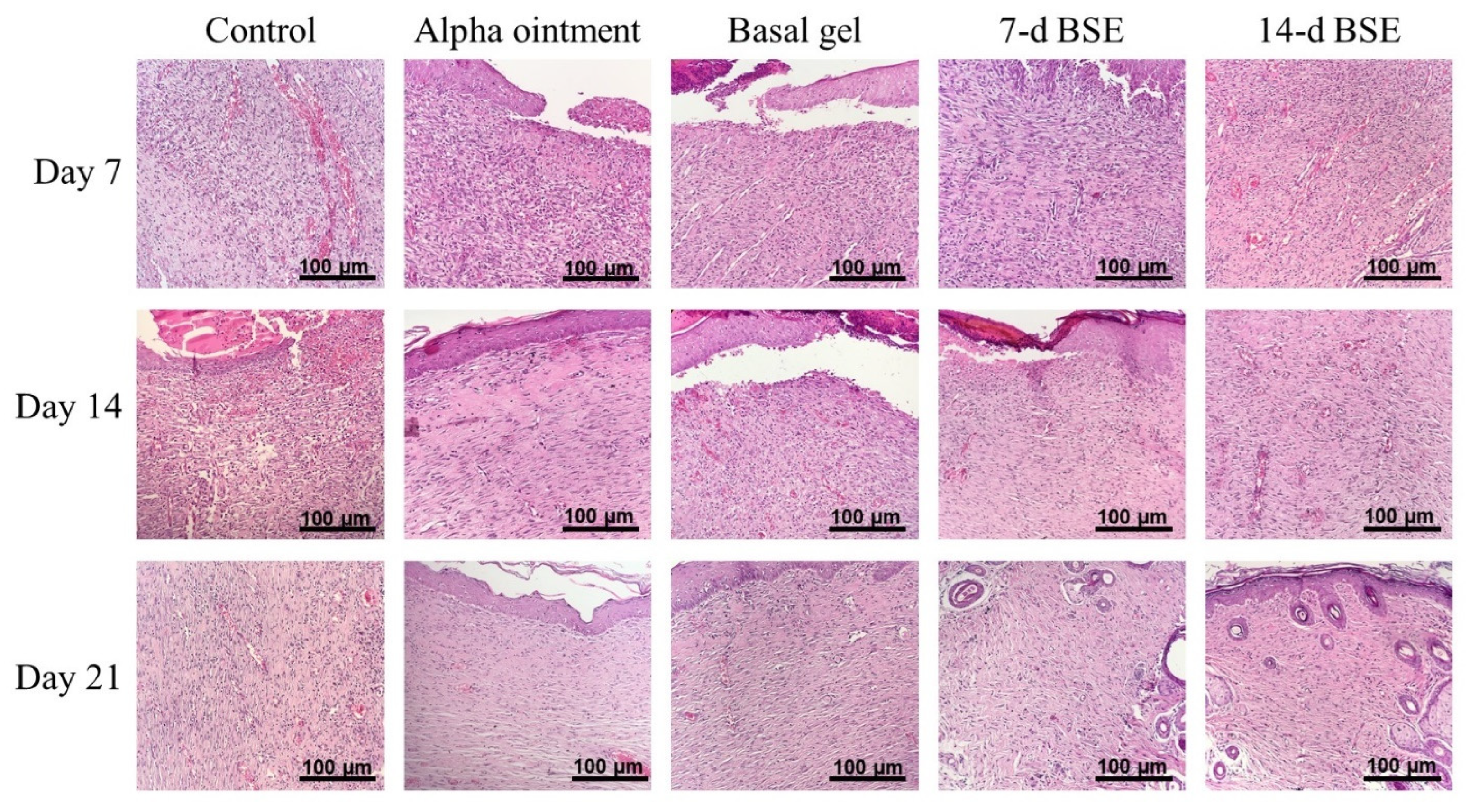 Marinedrugs 21 00381 g010