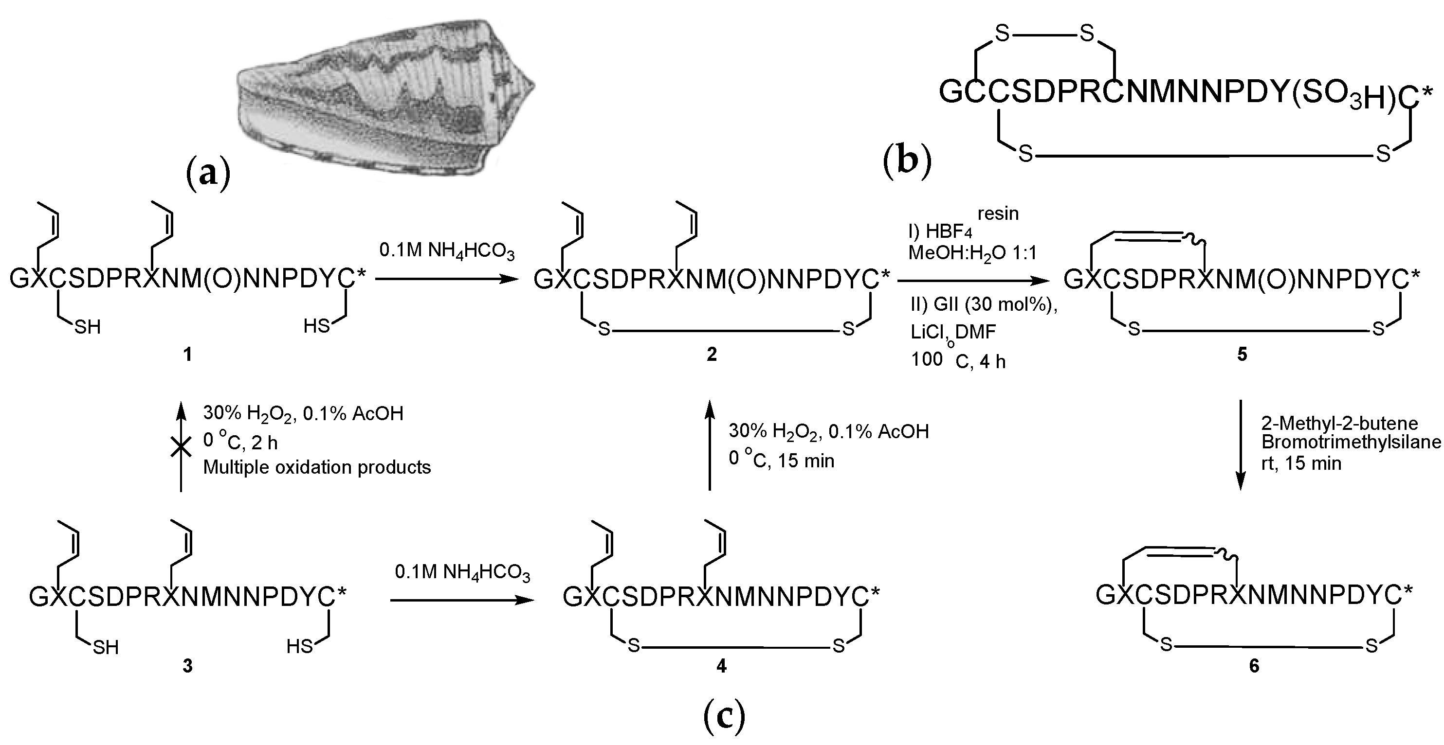Marinedrugs 21 00390 sch001