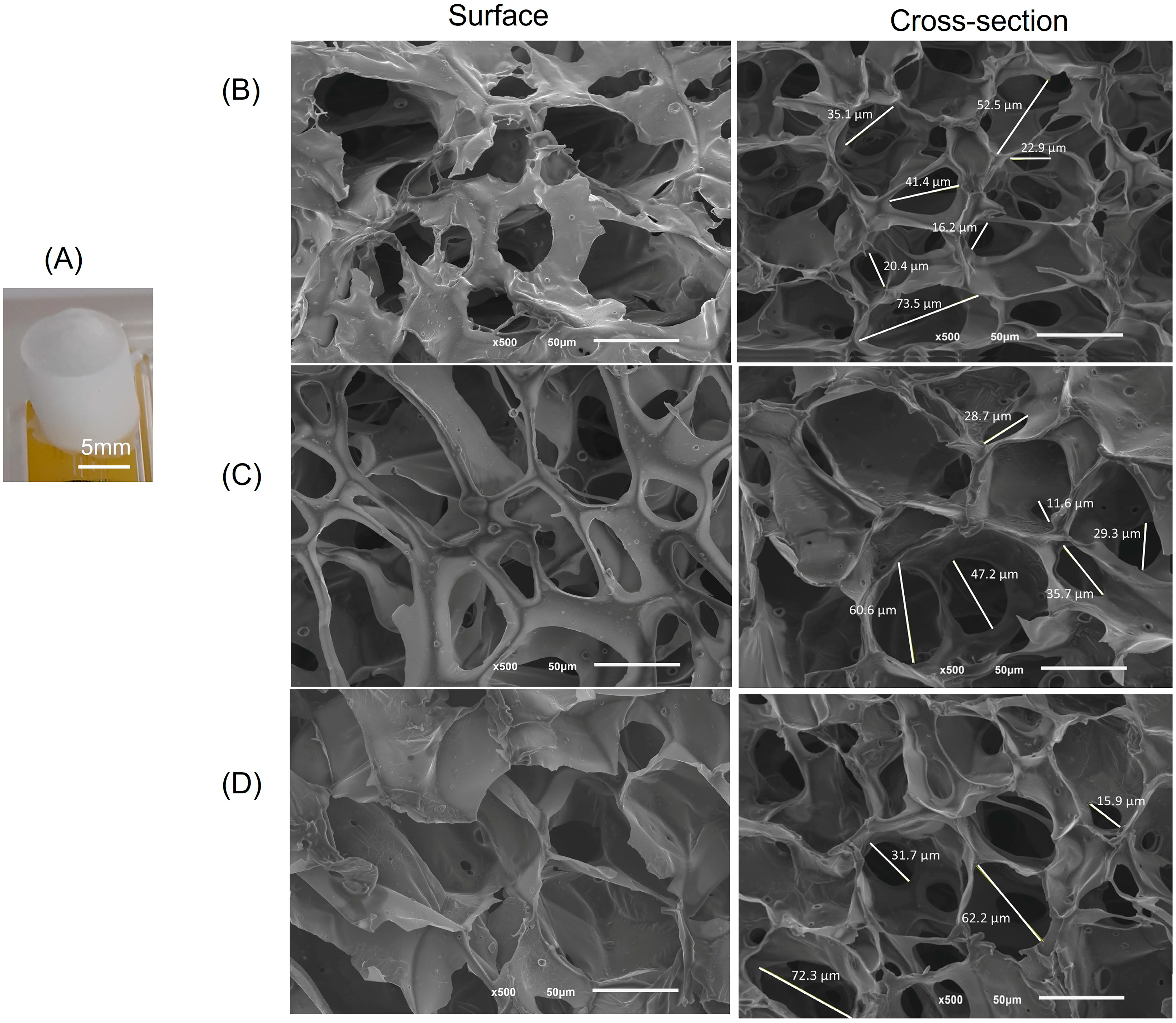 Marinedrugs 21 00394 g002