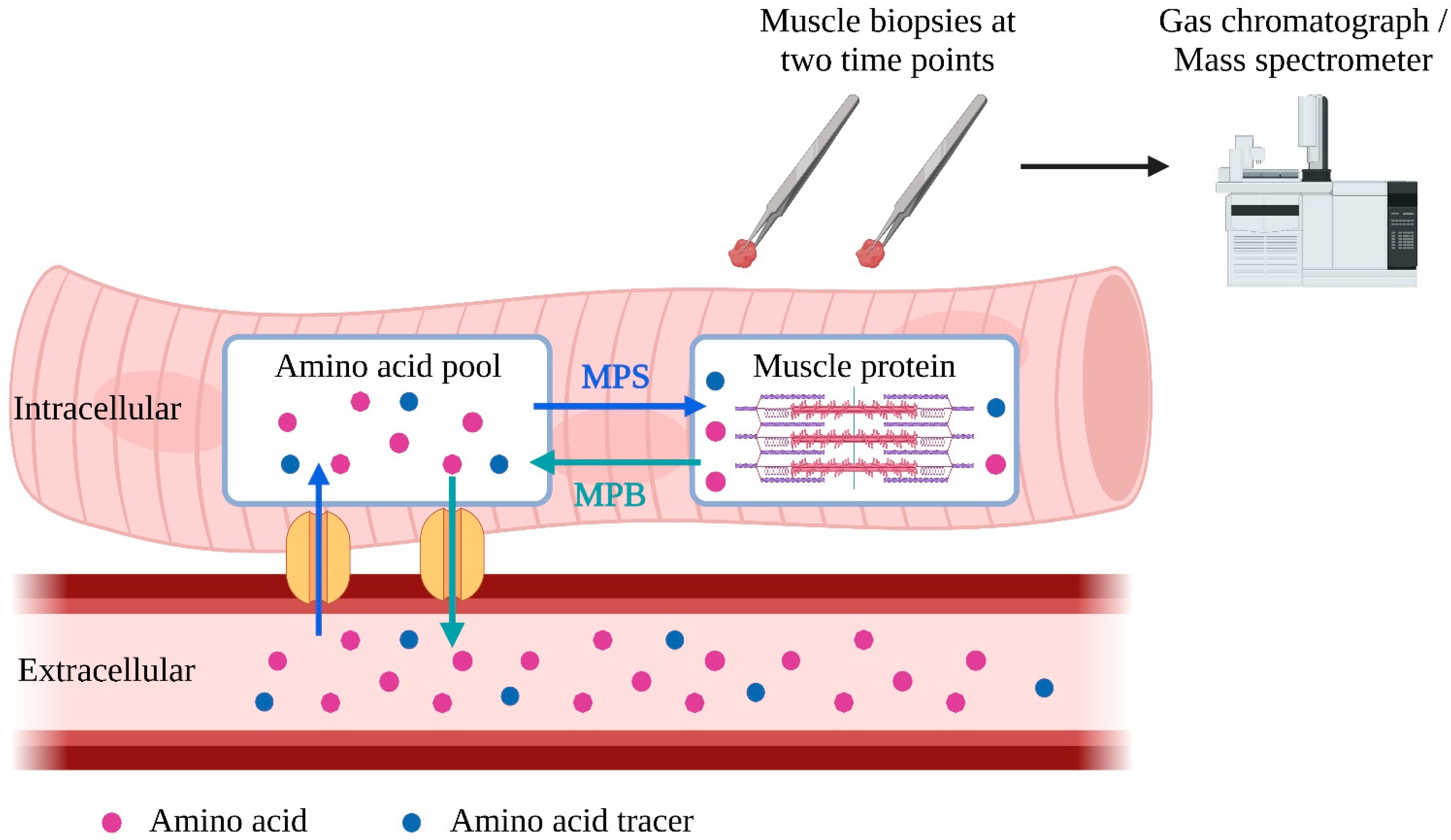 Marinedrugs 21 00399 g001