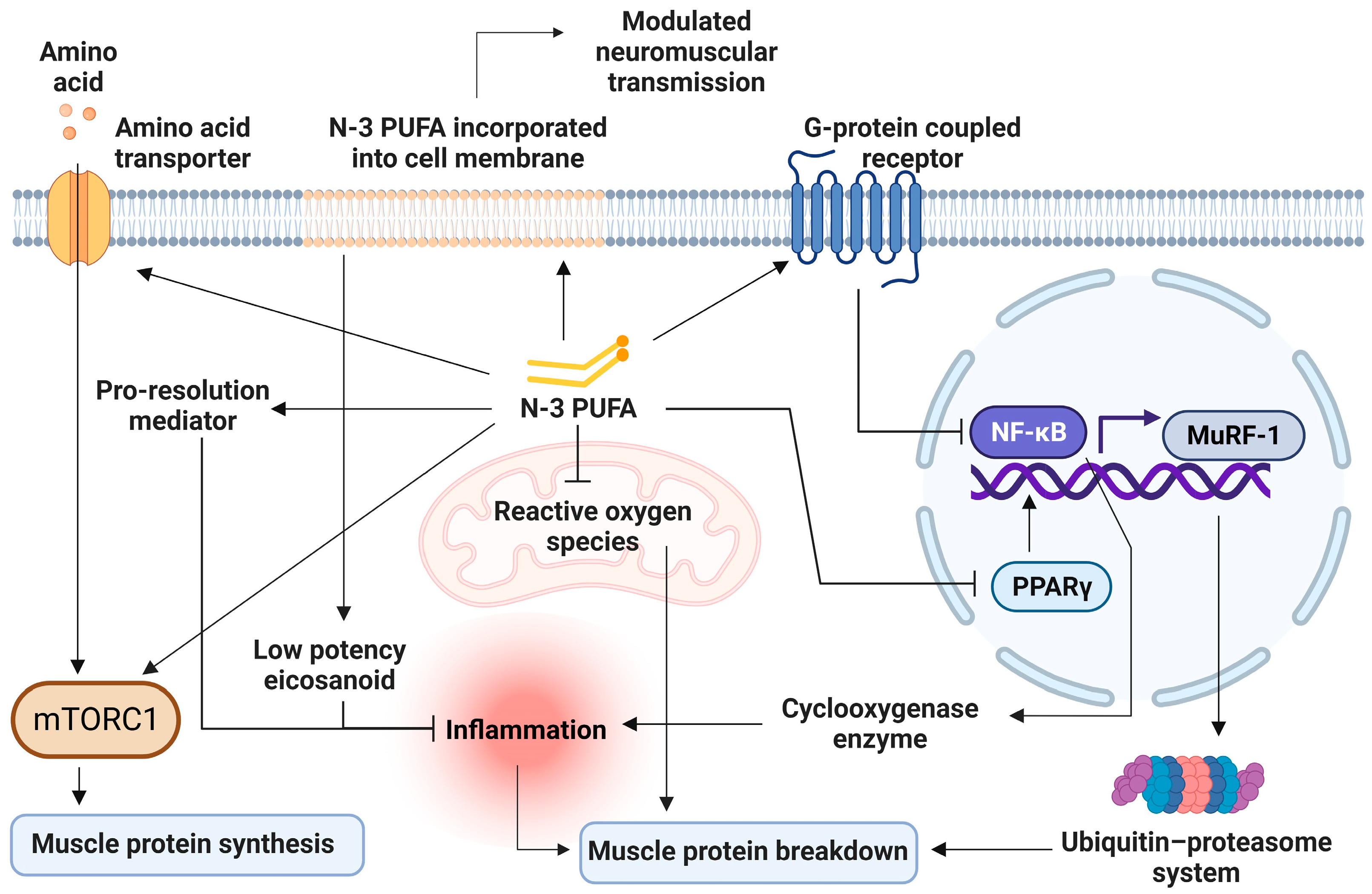 Marinedrugs 21 00399 g002