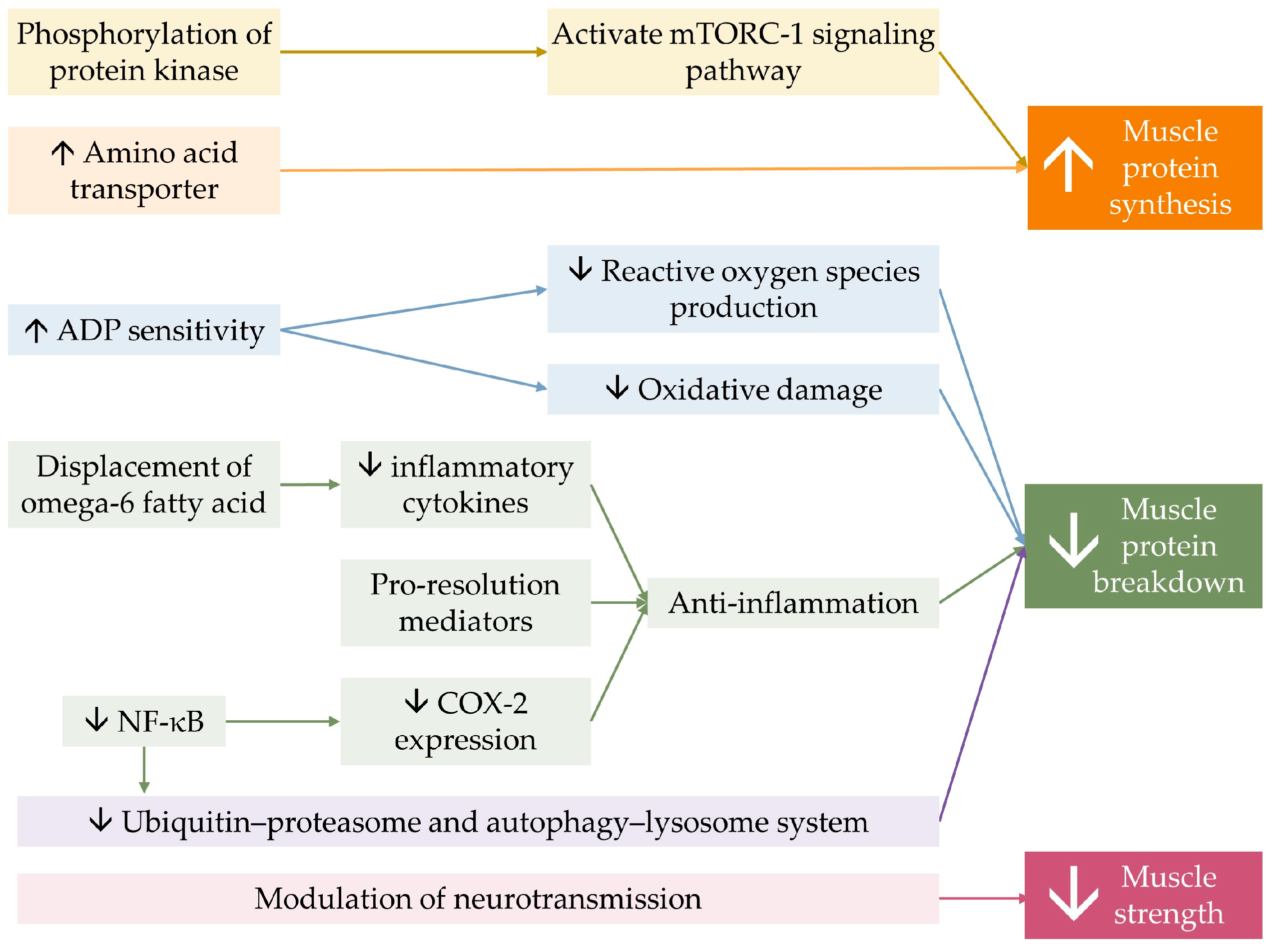 Marinedrugs 21 00399 g003