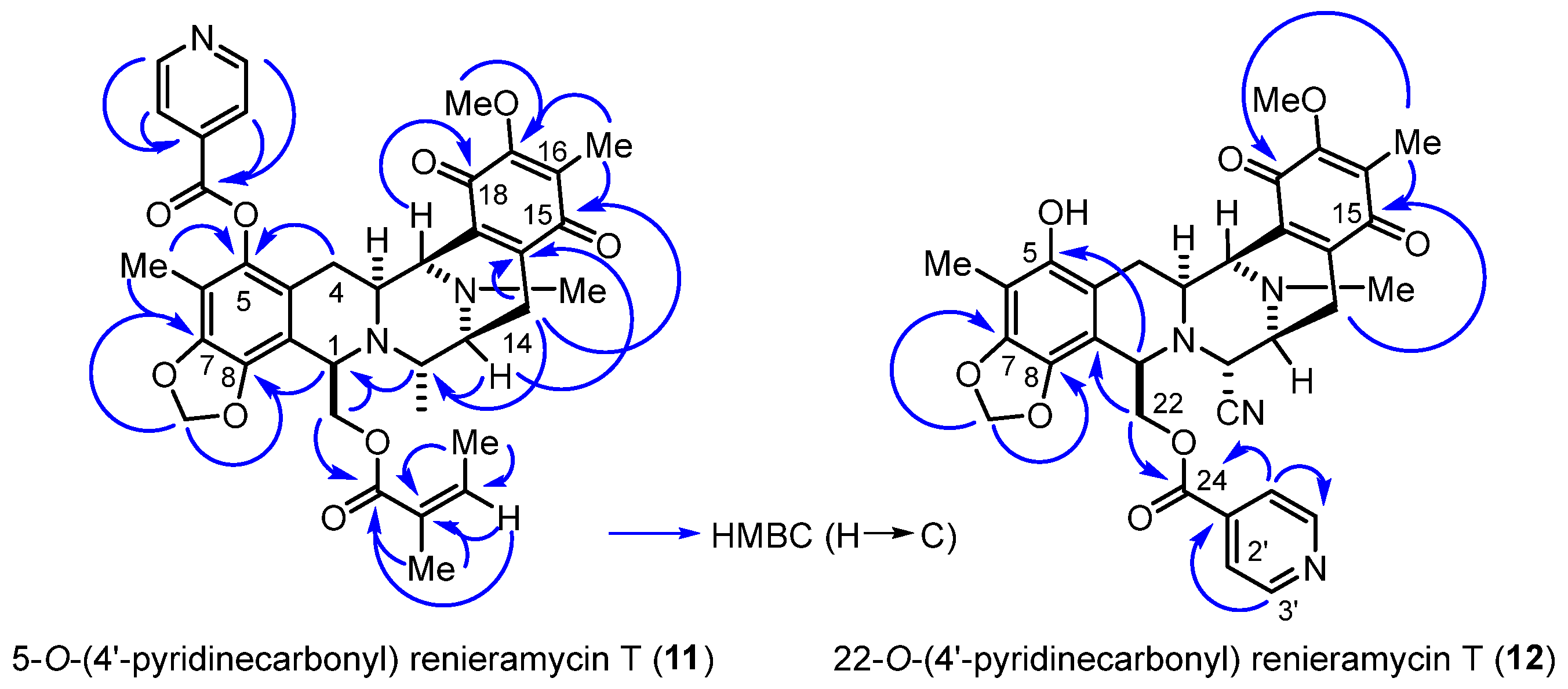 Marinedrugs 21 00400 g003