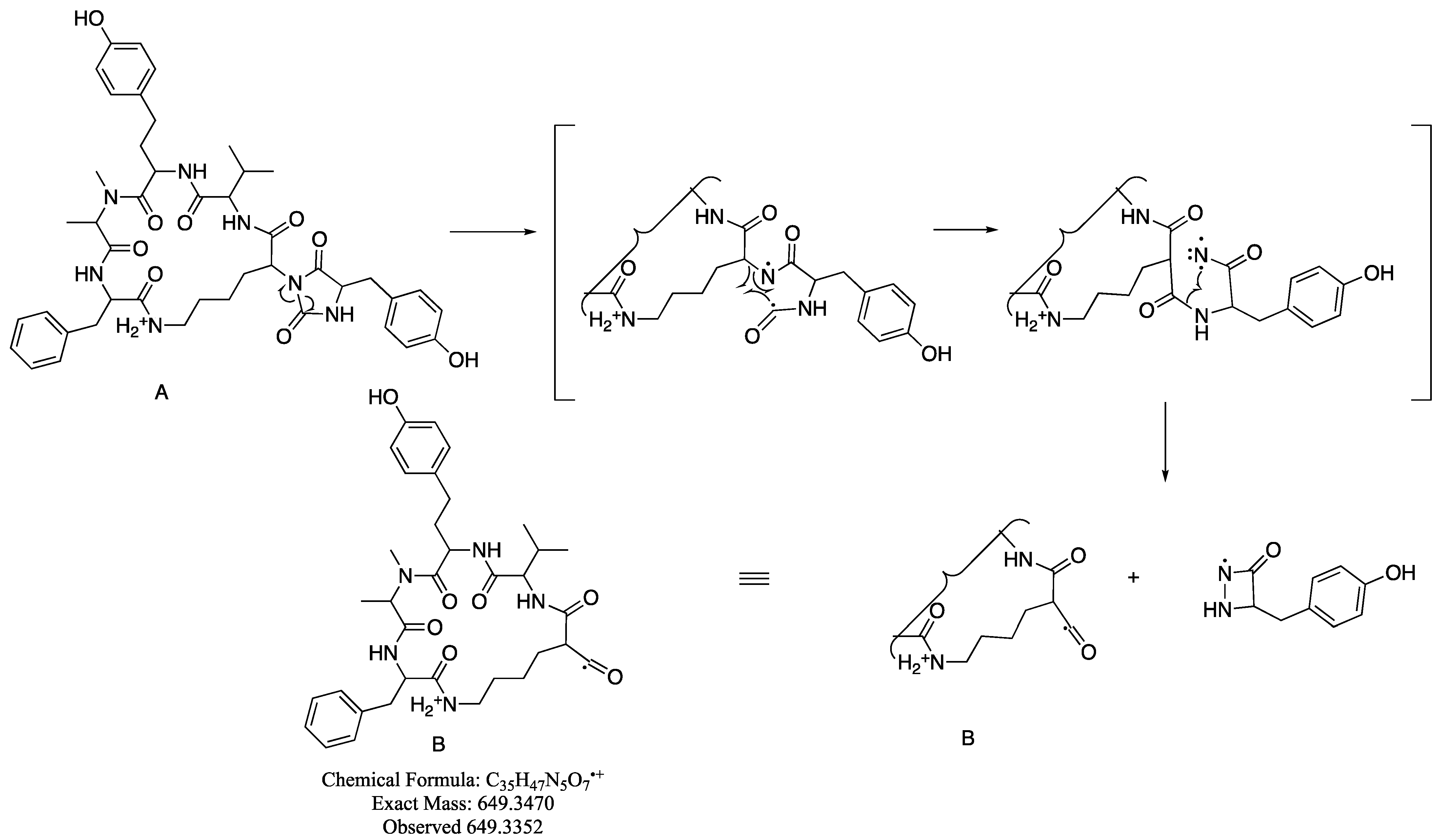 Marinedrugs 21 00401 sch001