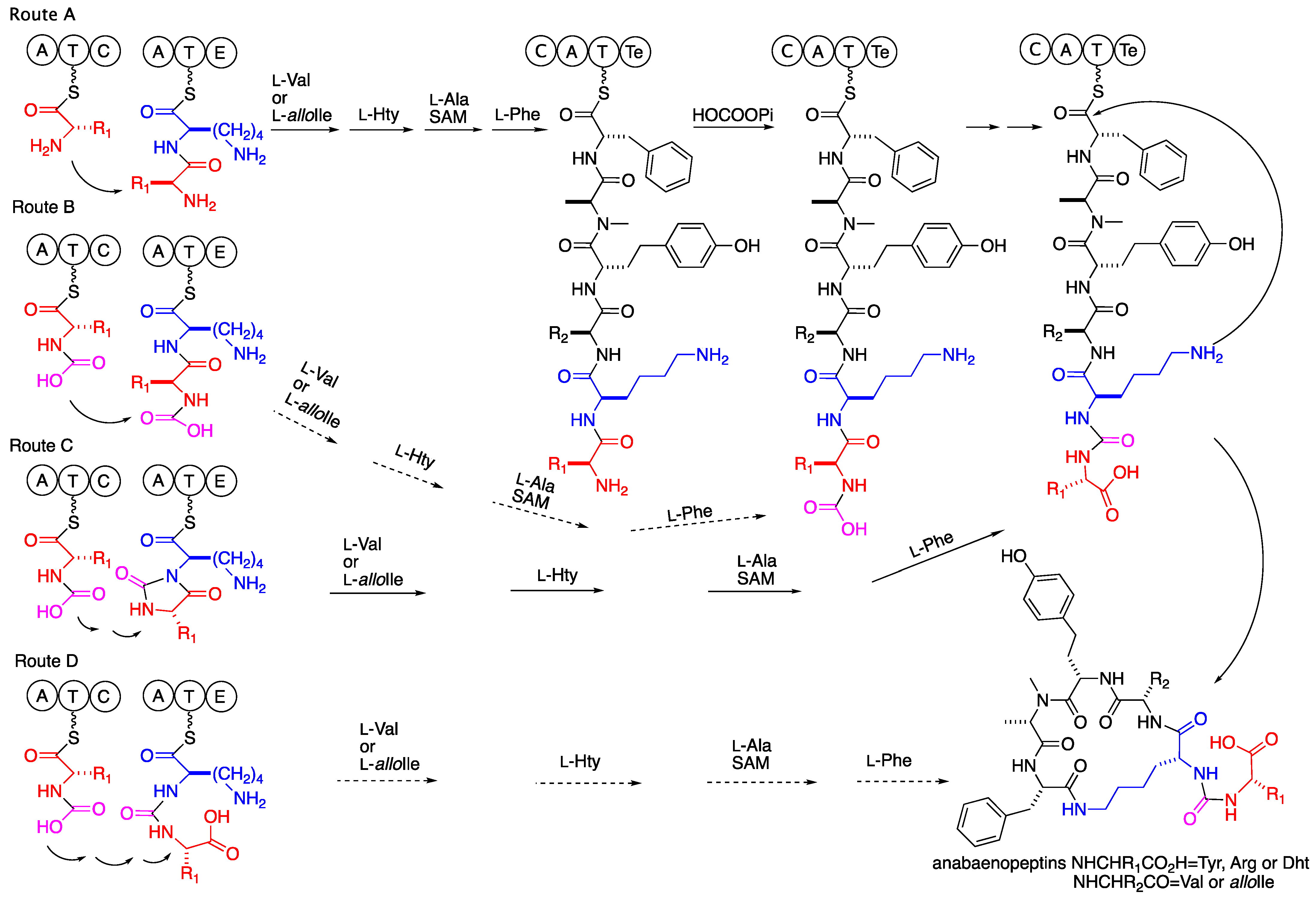 Marinedrugs 21 00401 sch002