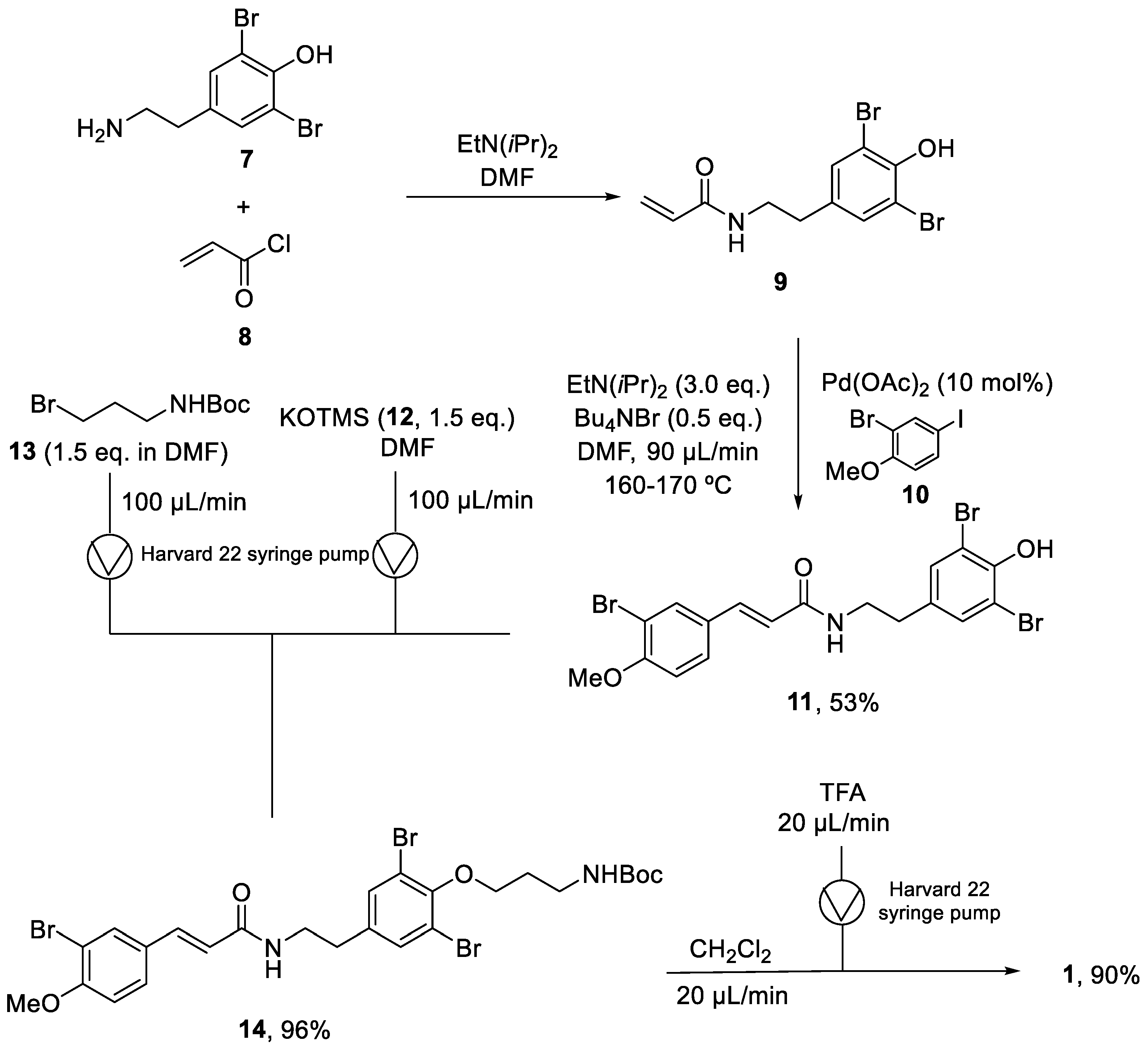 Marinedrugs 21 00402 sch002