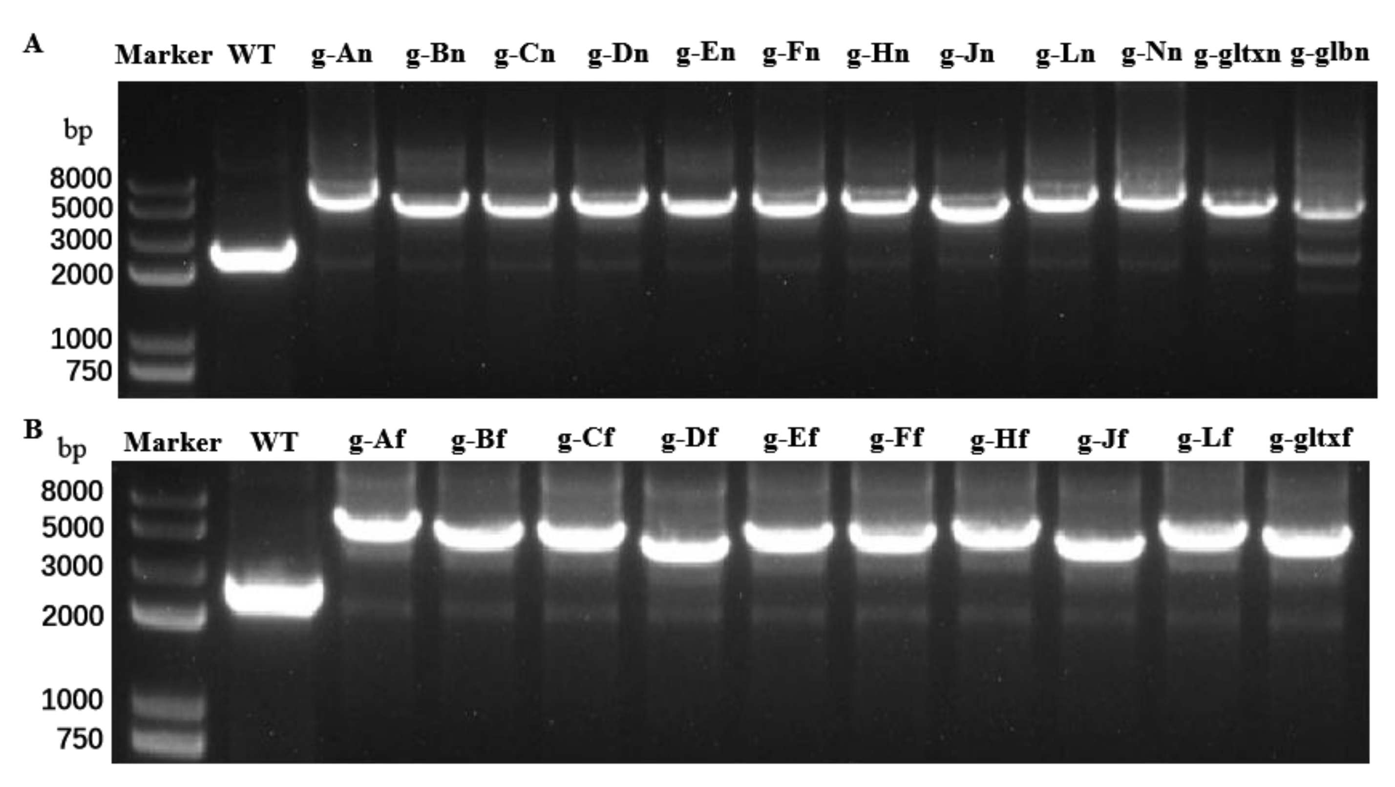 Marinedrugs 21 00403 g002