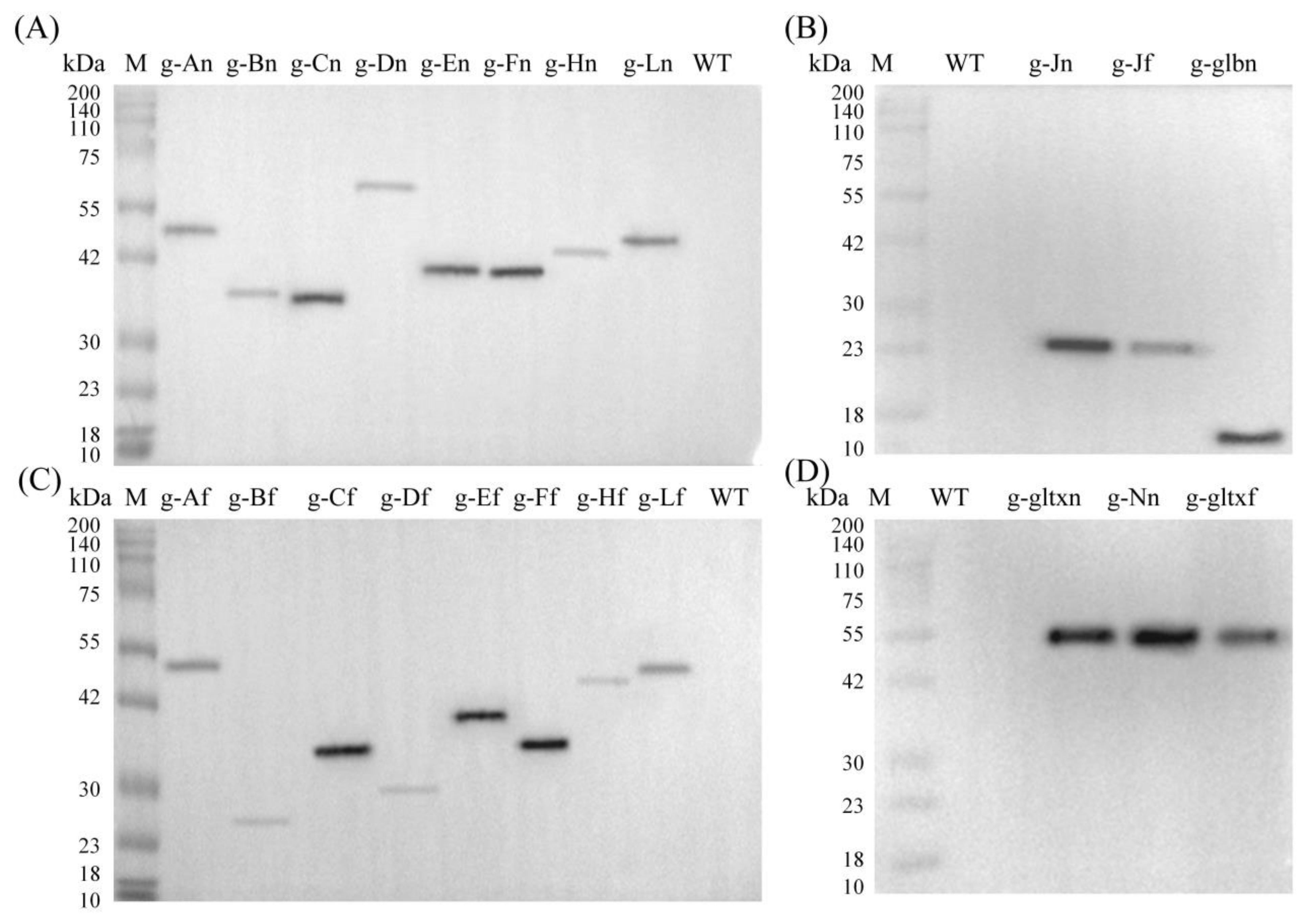 Marinedrugs 21 00403 g003