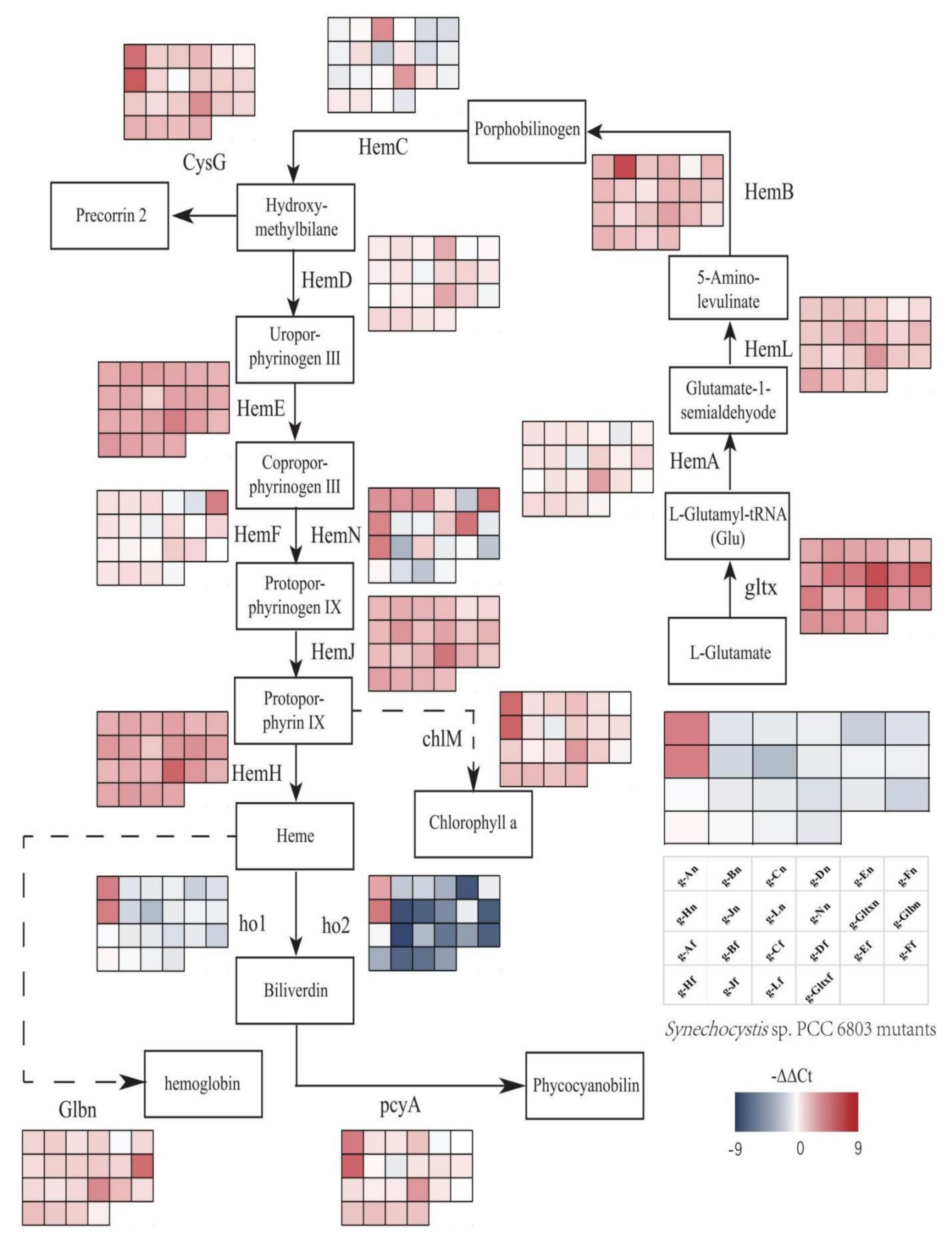 Marinedrugs 21 00403 g009