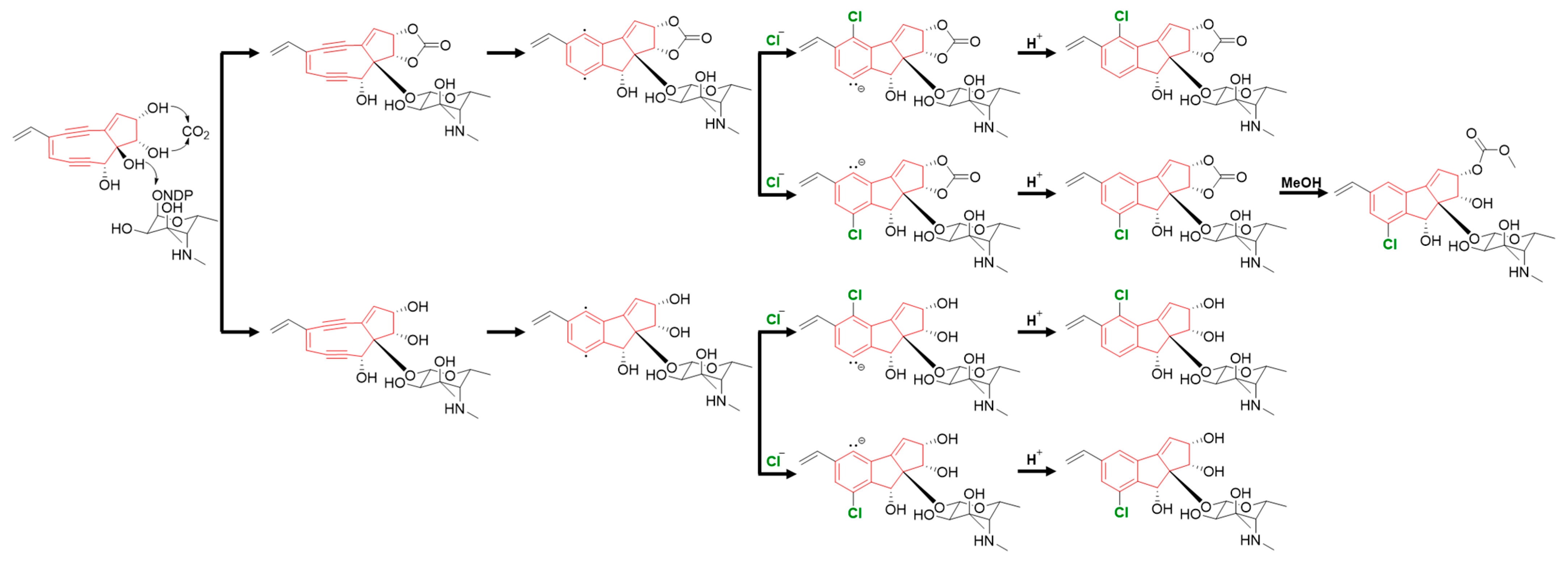 Marinedrugs 21 00405 g005