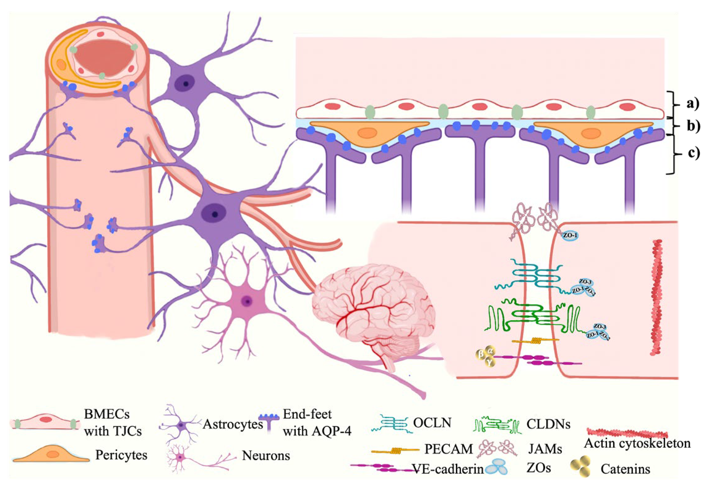Marinedrugs 21 00406 g001