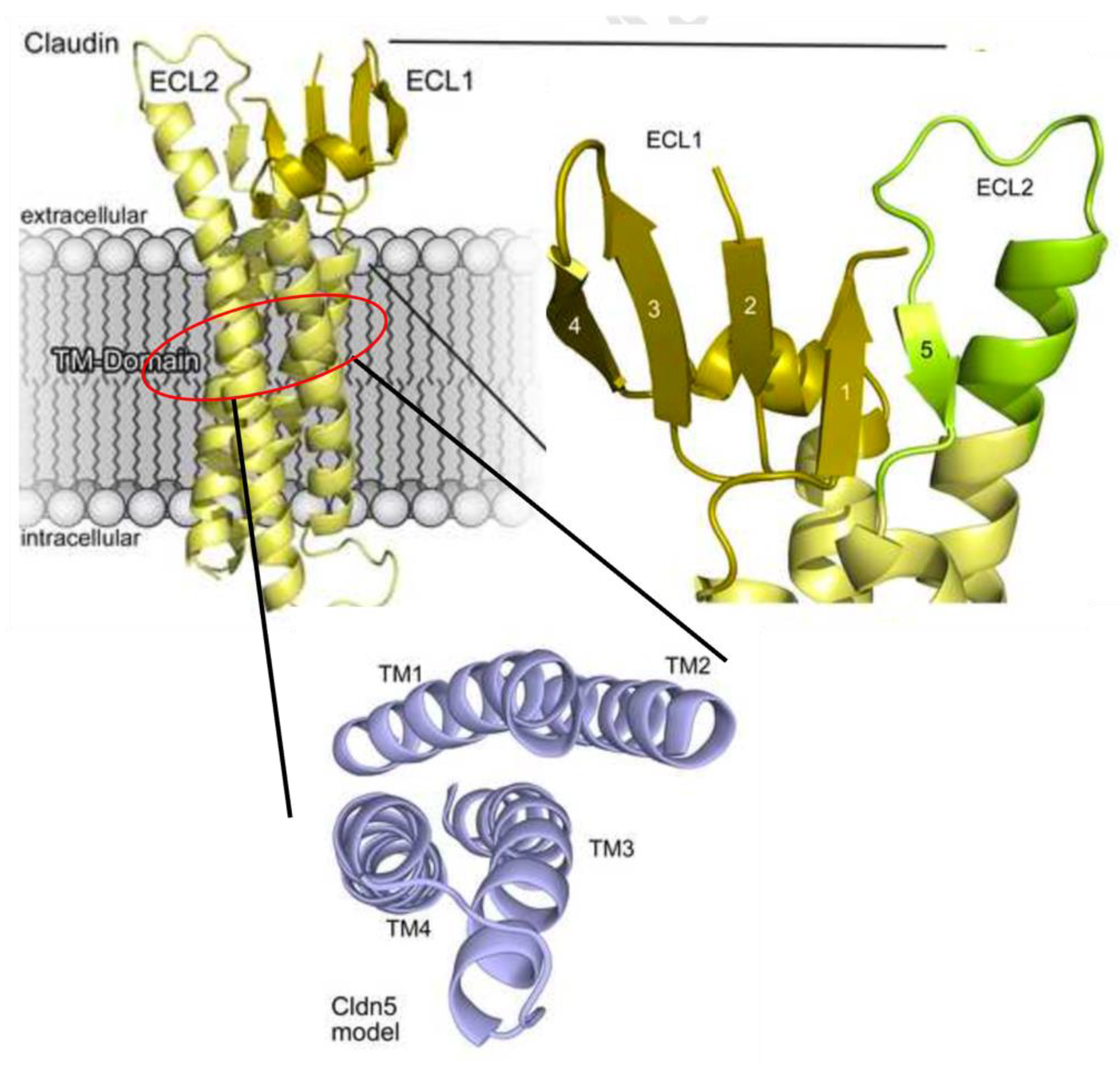 Marinedrugs 21 00406 g002