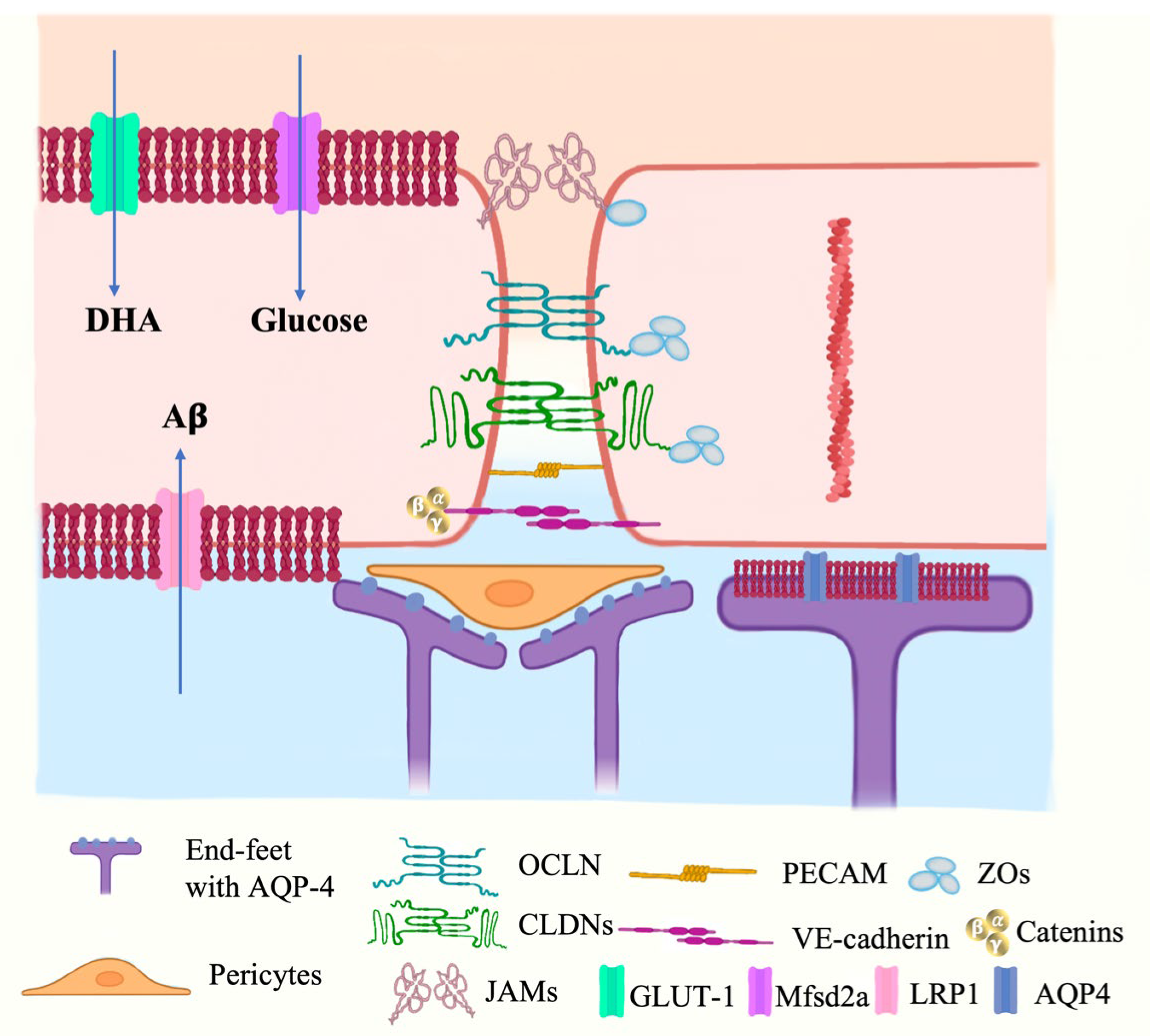 Marinedrugs 21 00406 g004