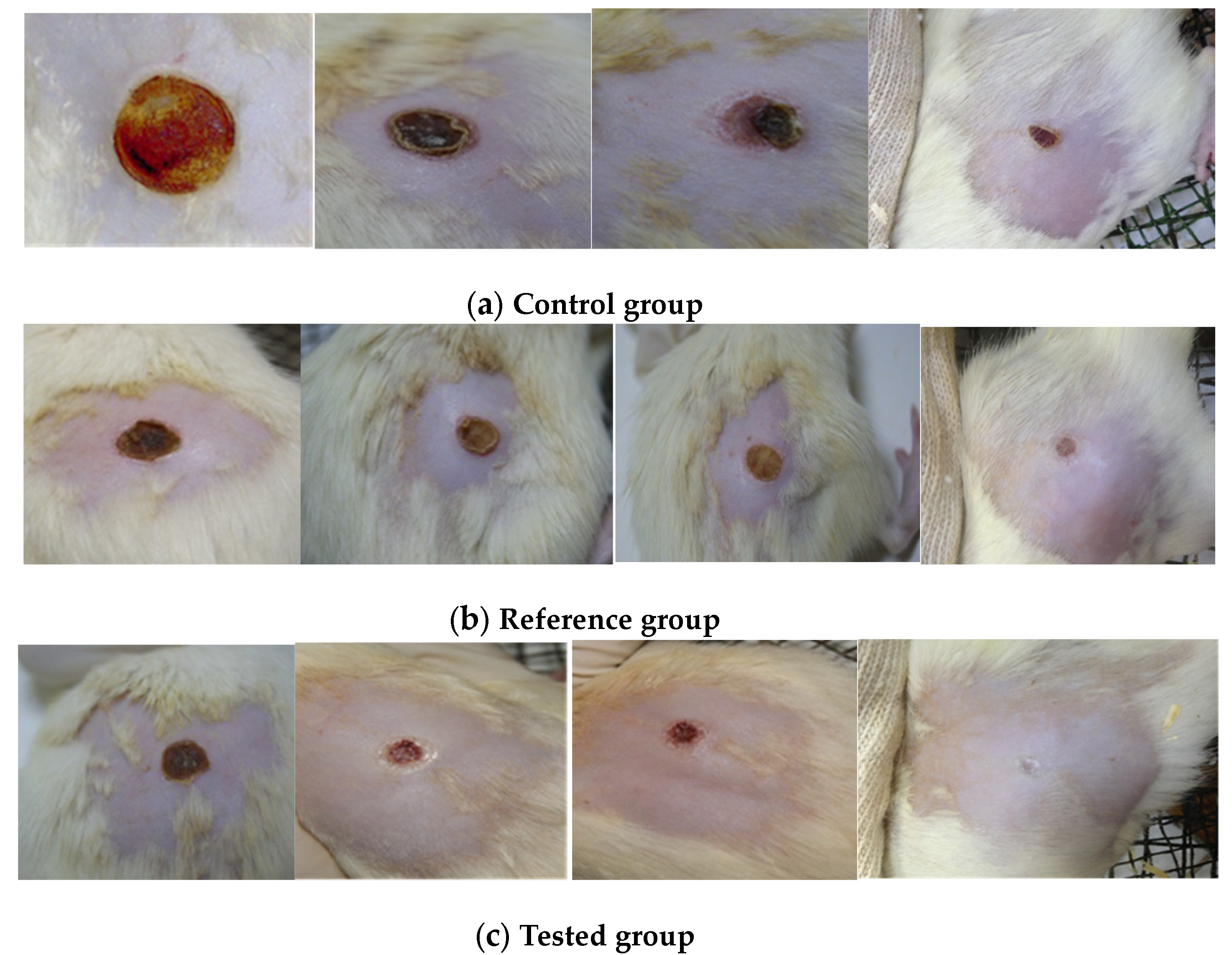 Marinedrugs 21 00408 g004