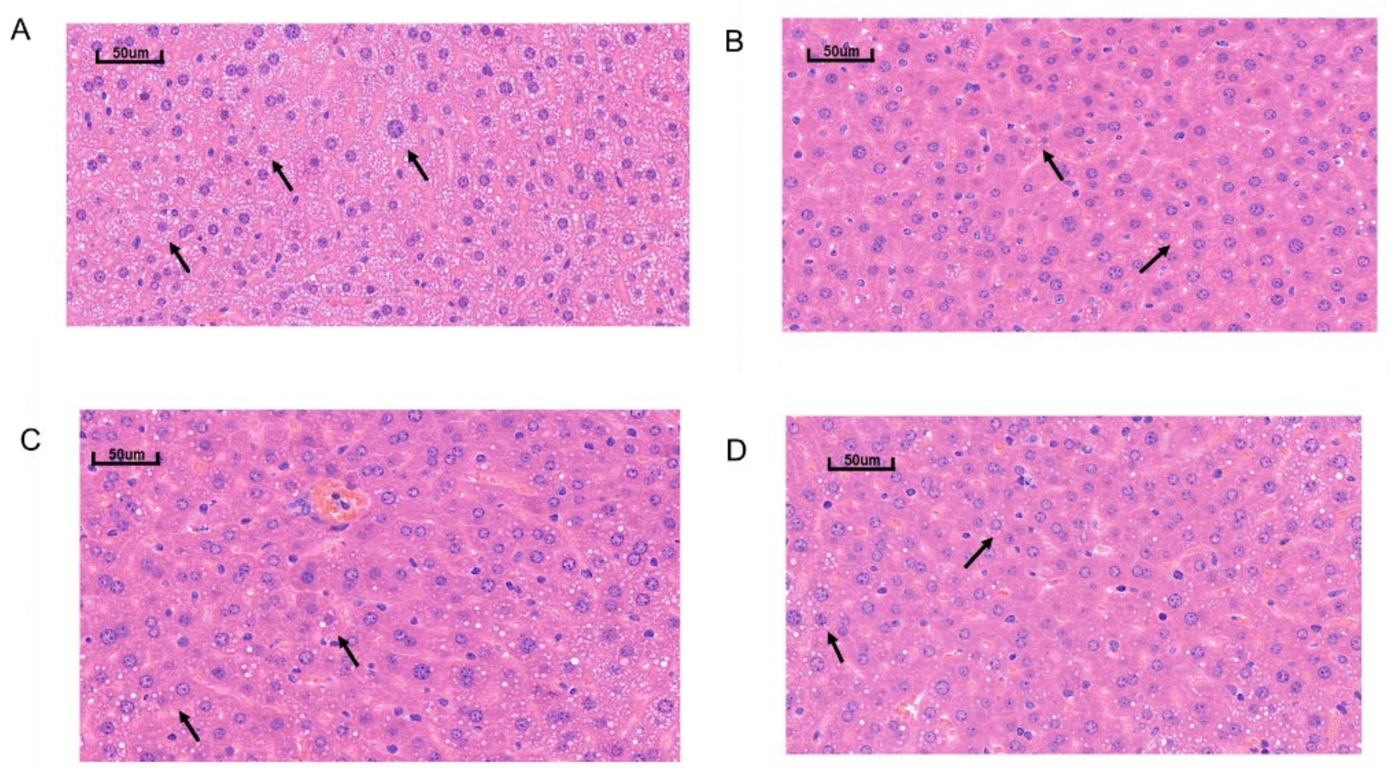 Marinedrugs 21 00409 g002