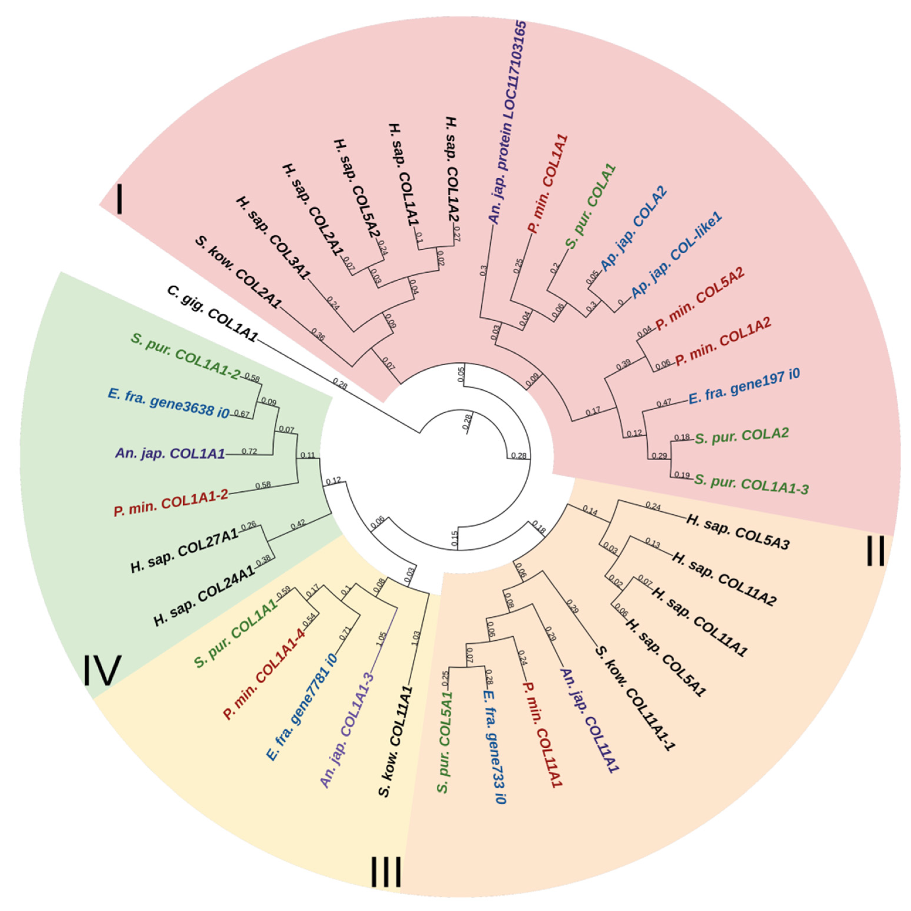 Marinedrugs 21 00417 g001