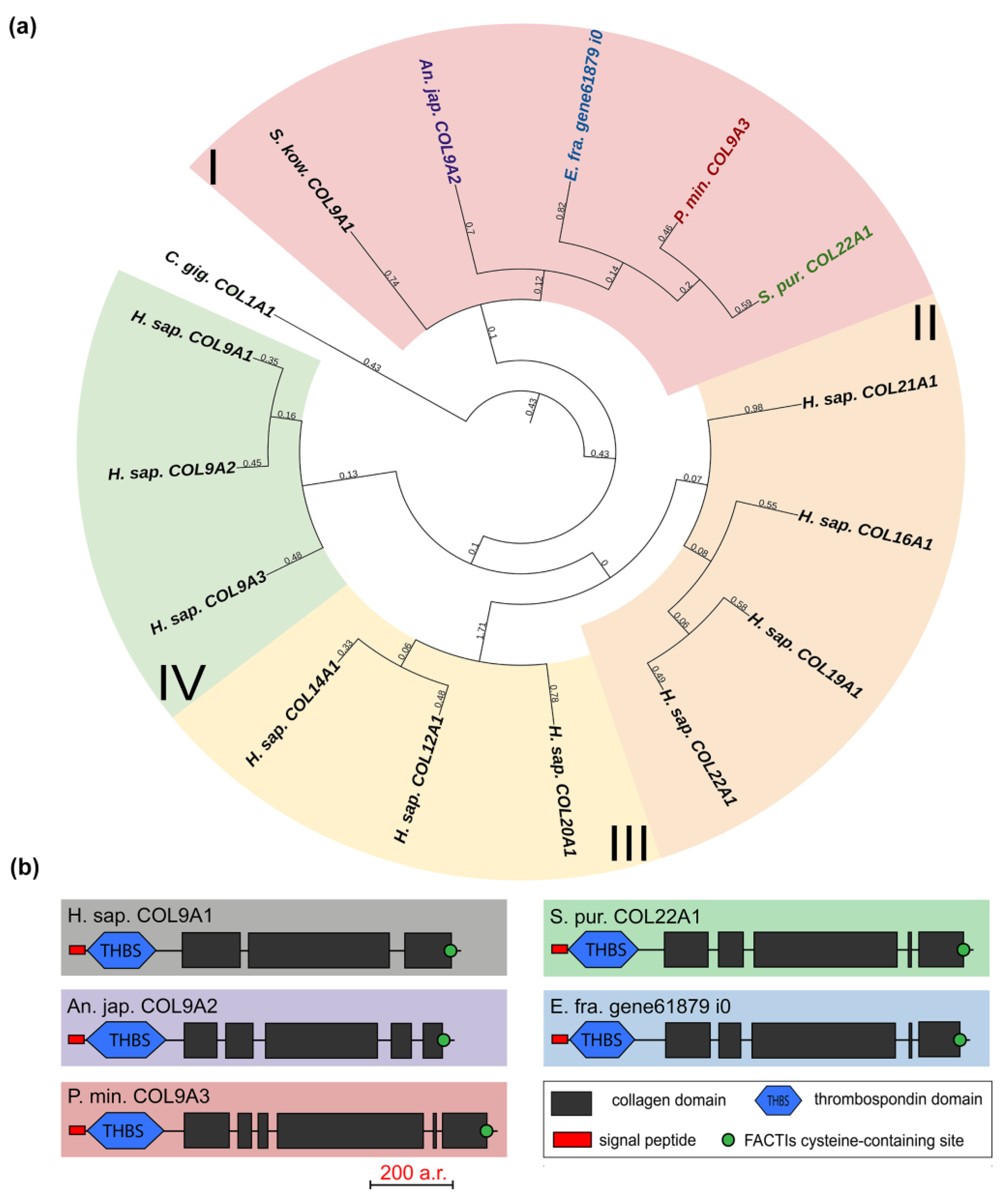 Marinedrugs 21 00417 g003