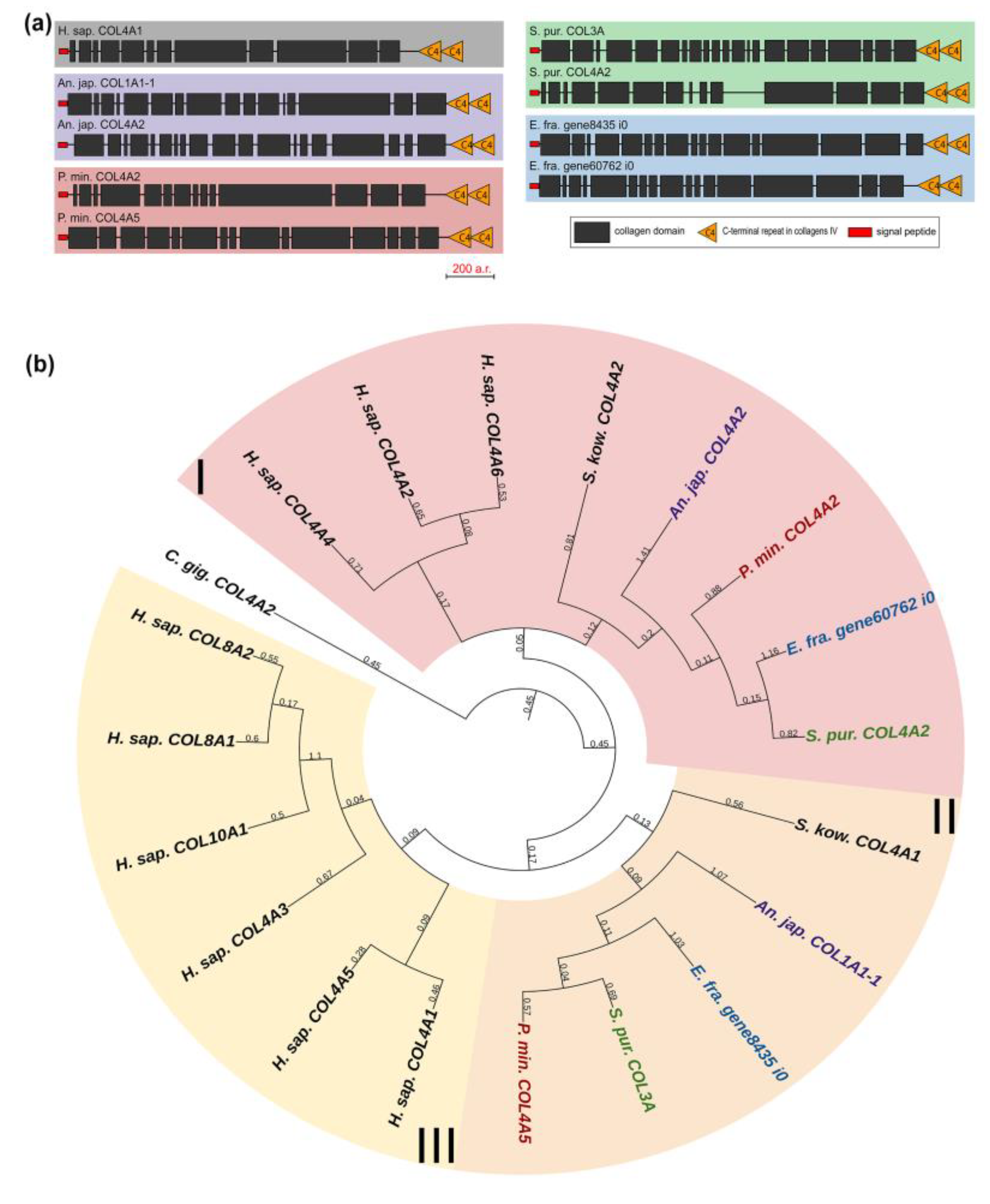 Marinedrugs 21 00417 g005