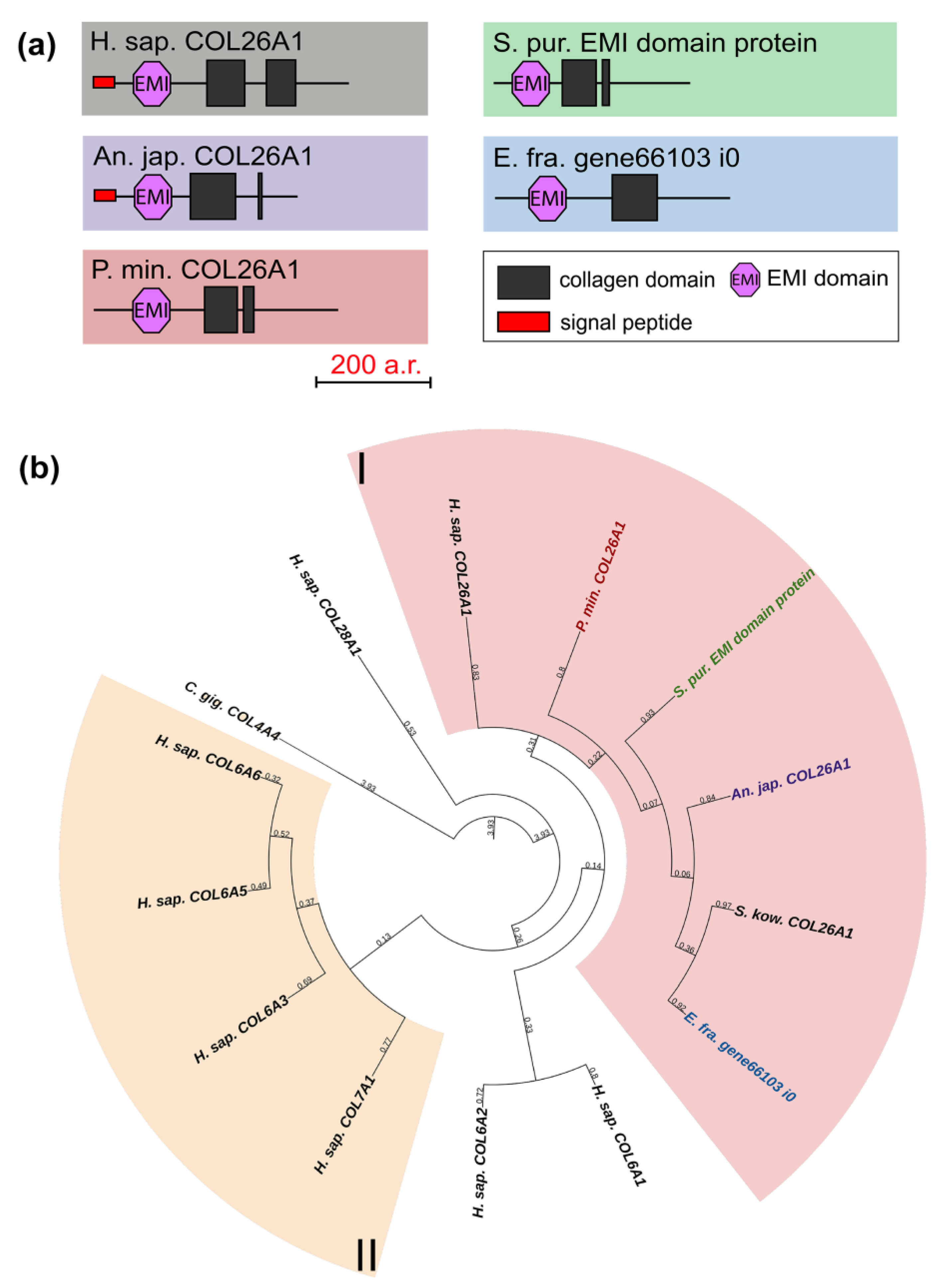 Marinedrugs 21 00417 g006