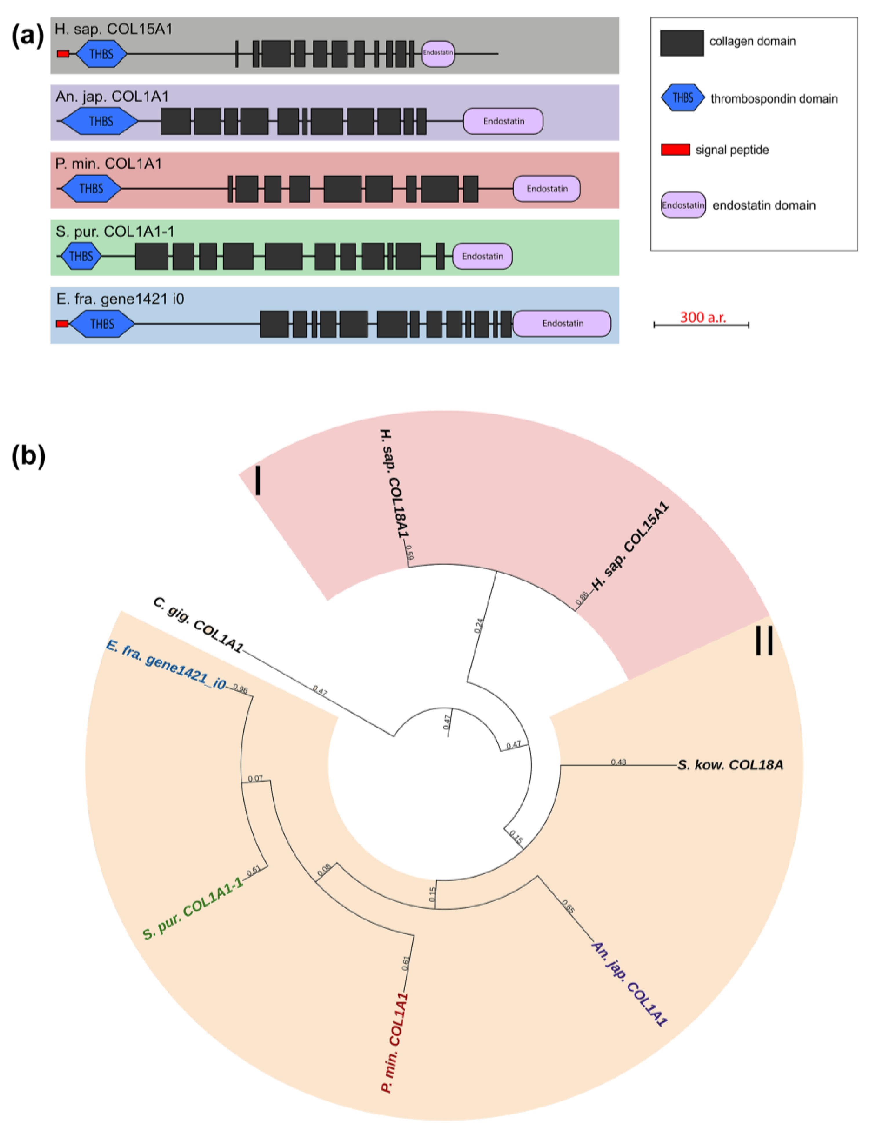 Marinedrugs 21 00417 g007