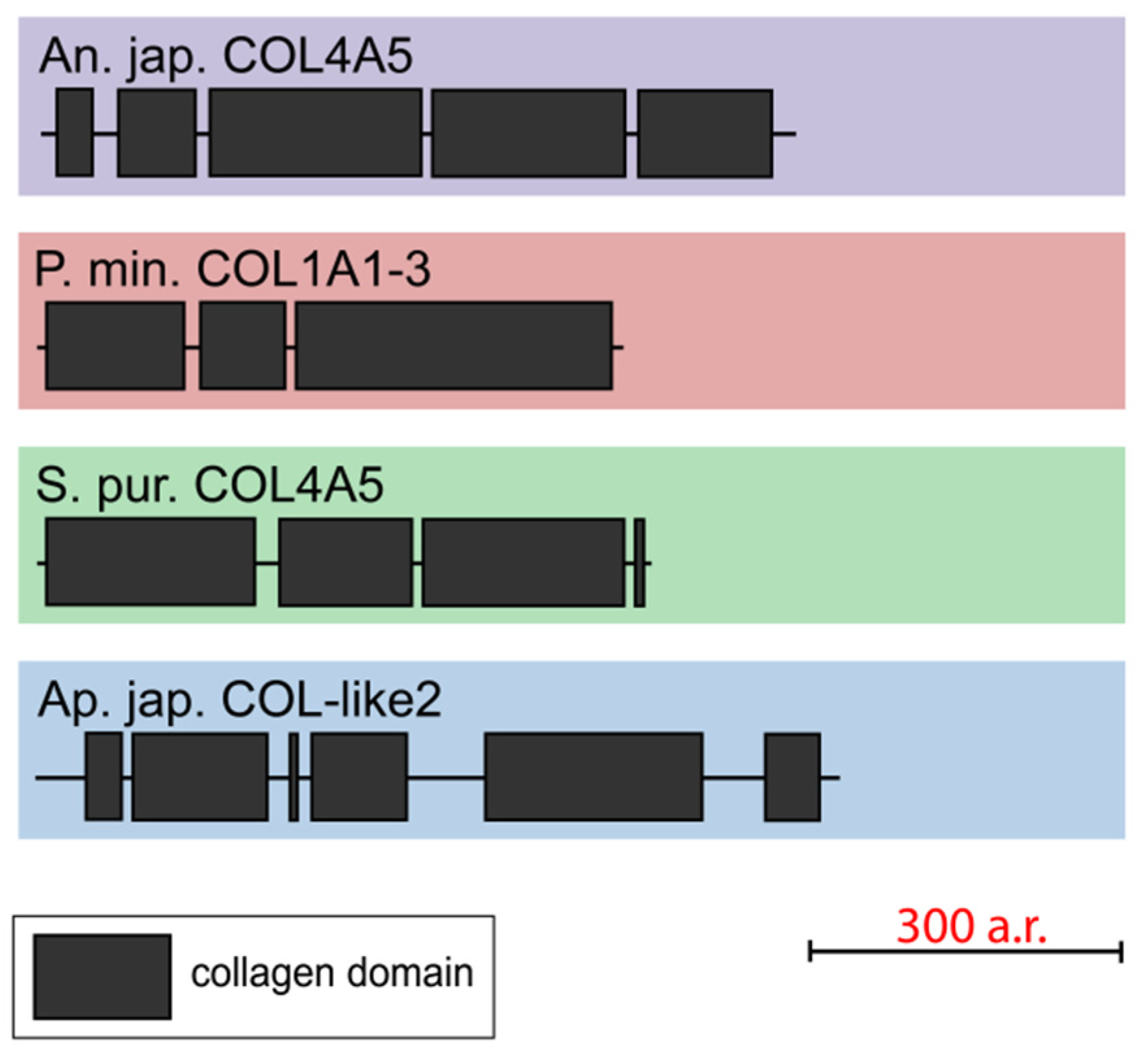 Marinedrugs 21 00417 g008
