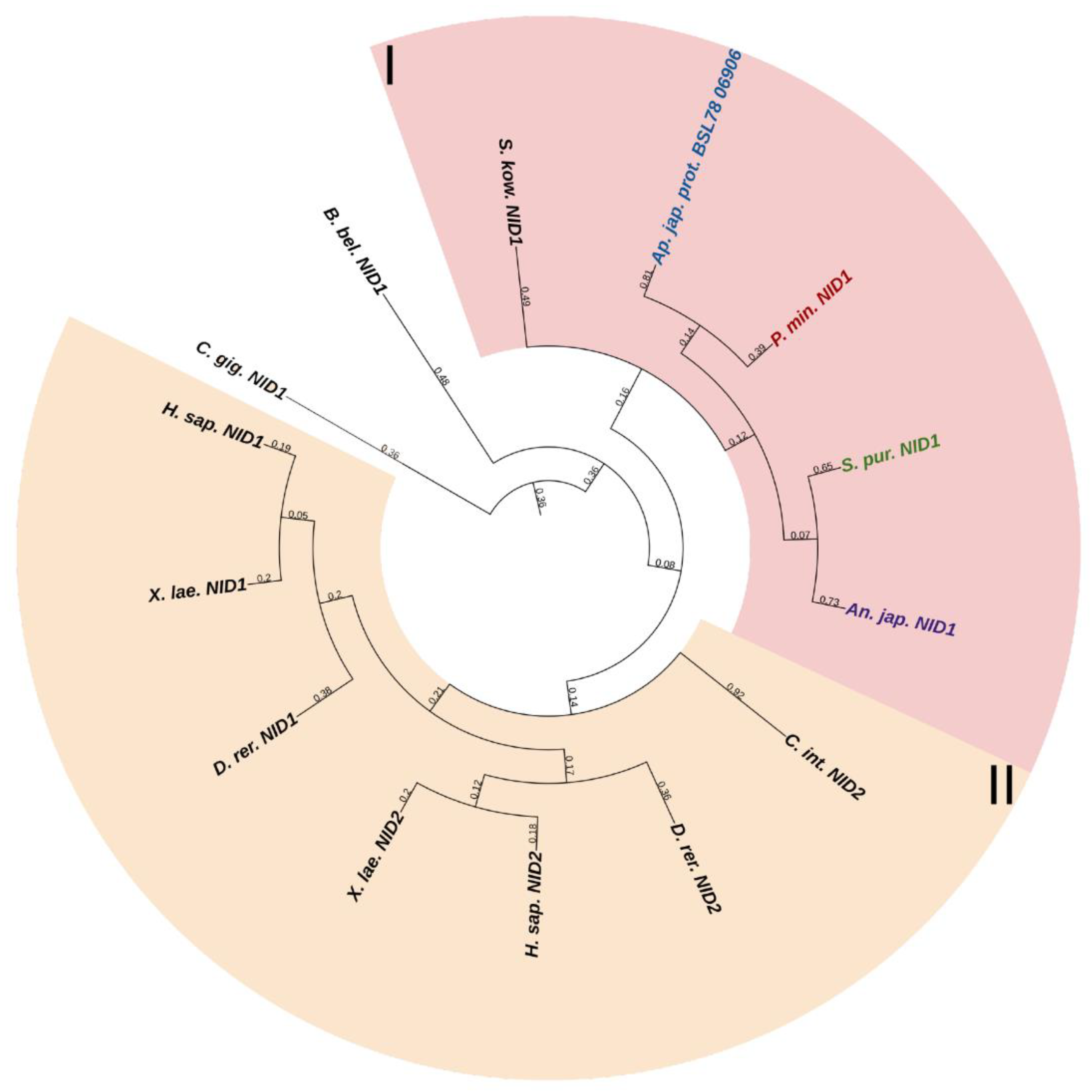 Marinedrugs 21 00417 g011