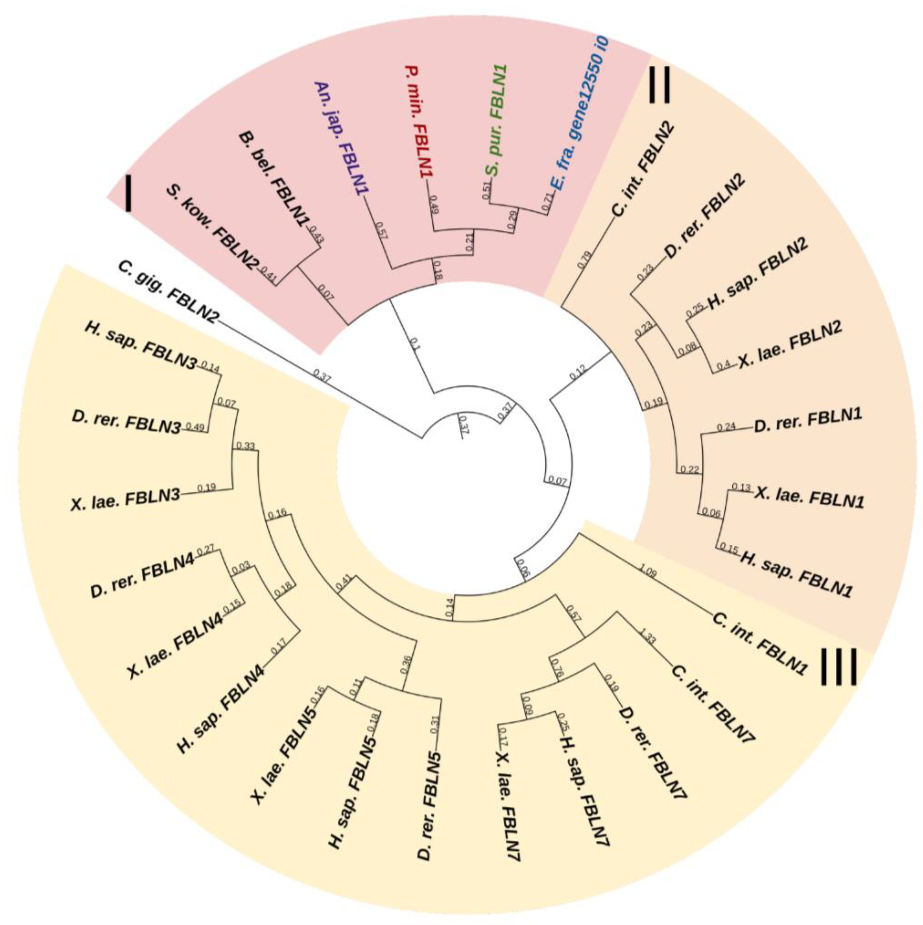 Marinedrugs 21 00417 g012