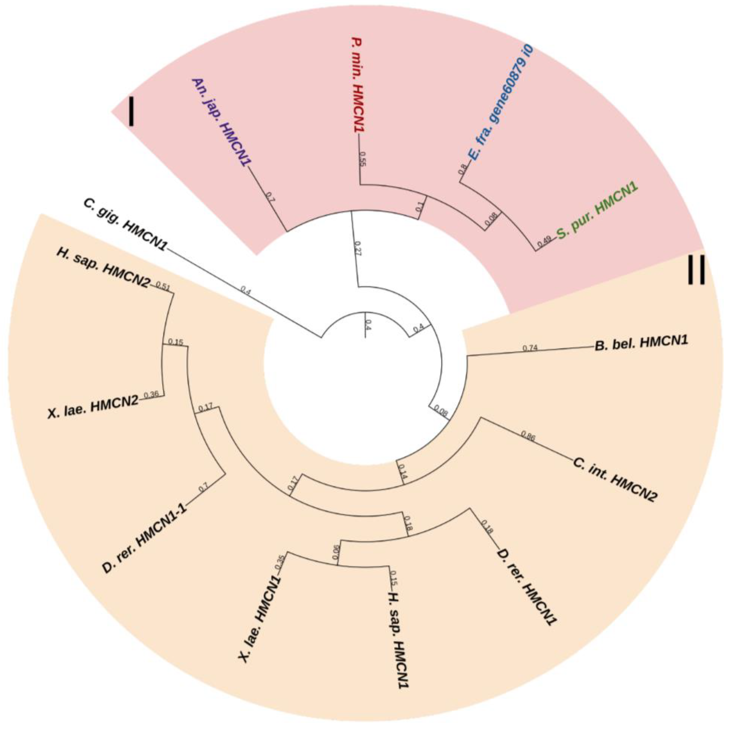 Marinedrugs 21 00417 g013