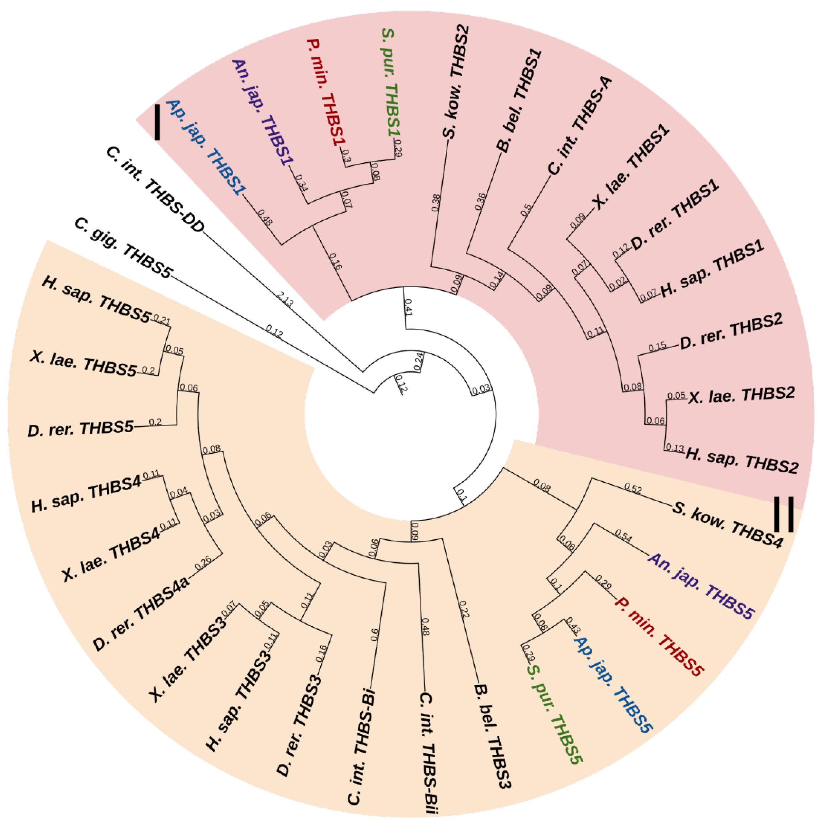 Marinedrugs 21 00417 g014