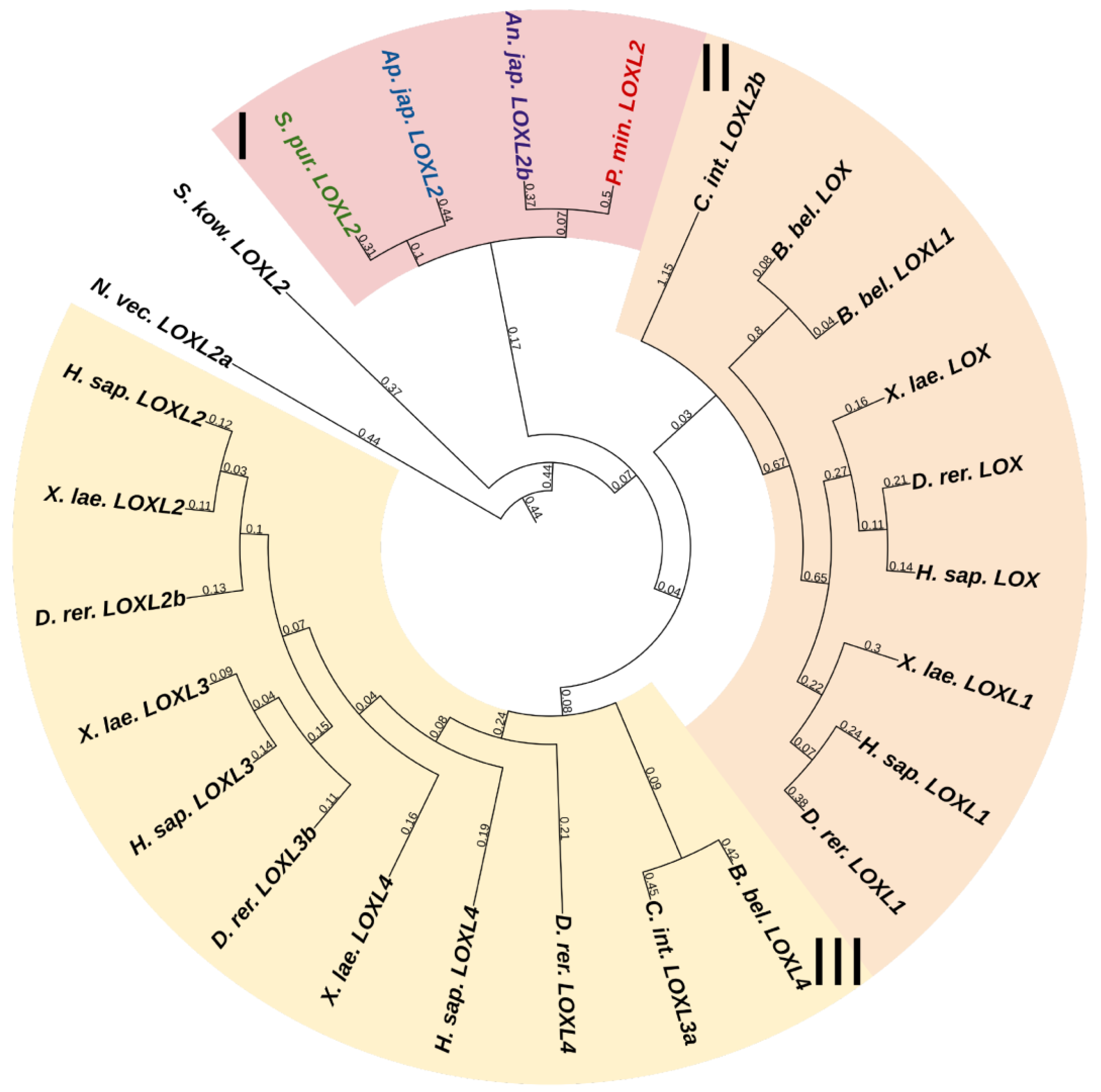 Marinedrugs 21 00417 g016