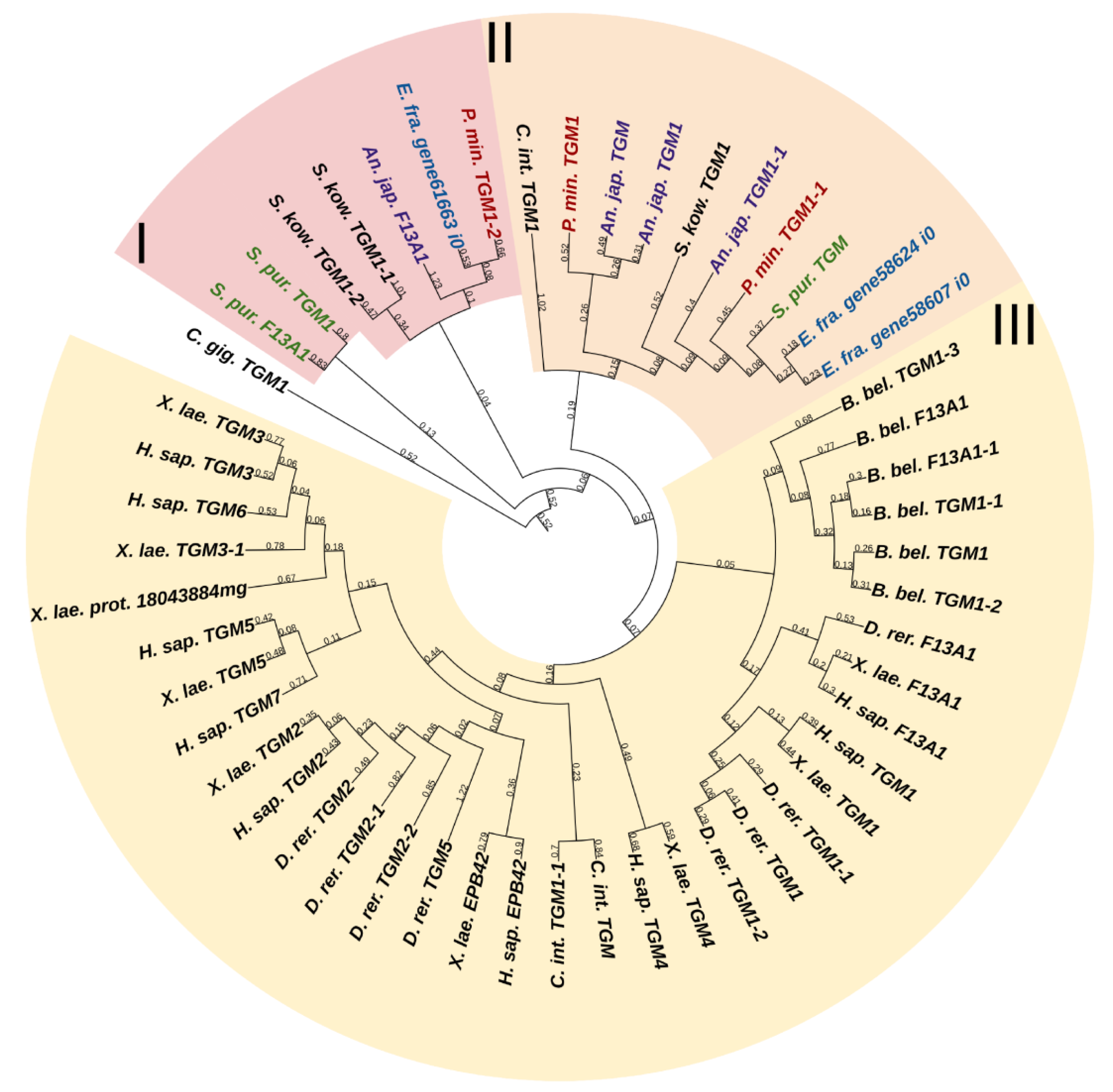 Marinedrugs 21 00417 g017