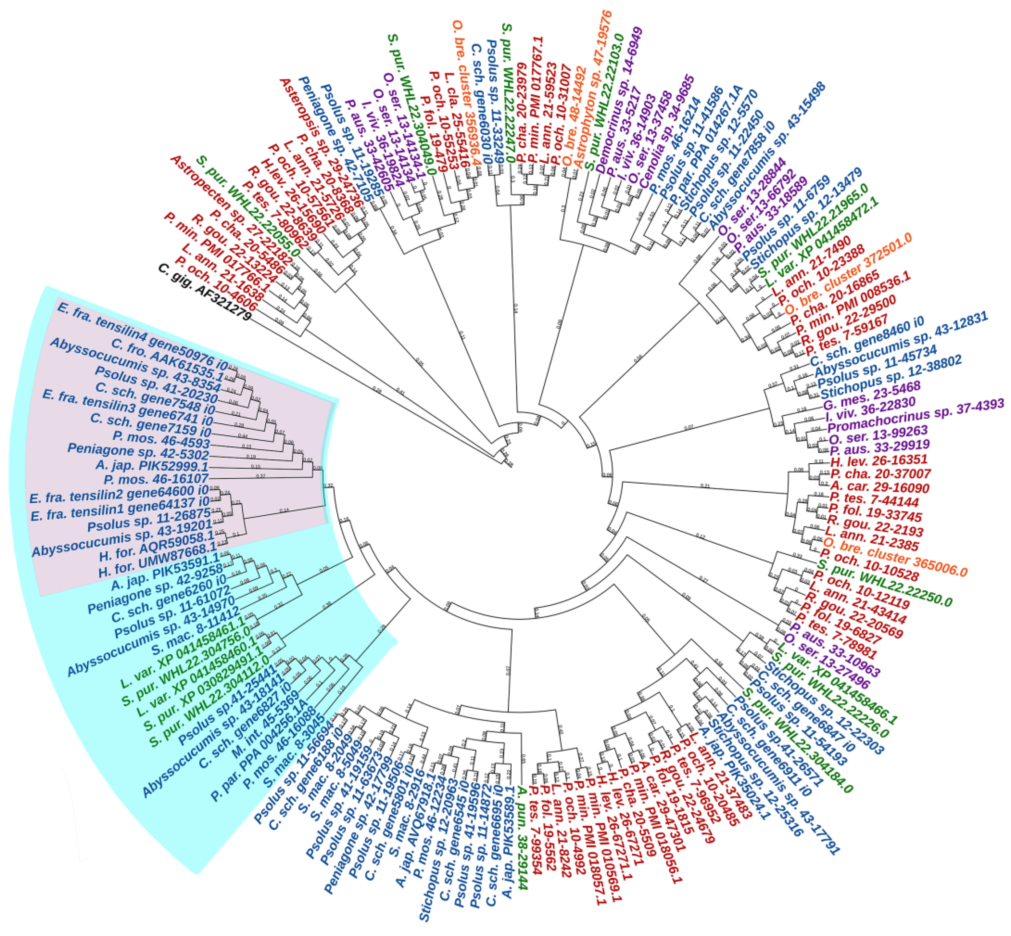 Marinedrugs 21 00417 g018