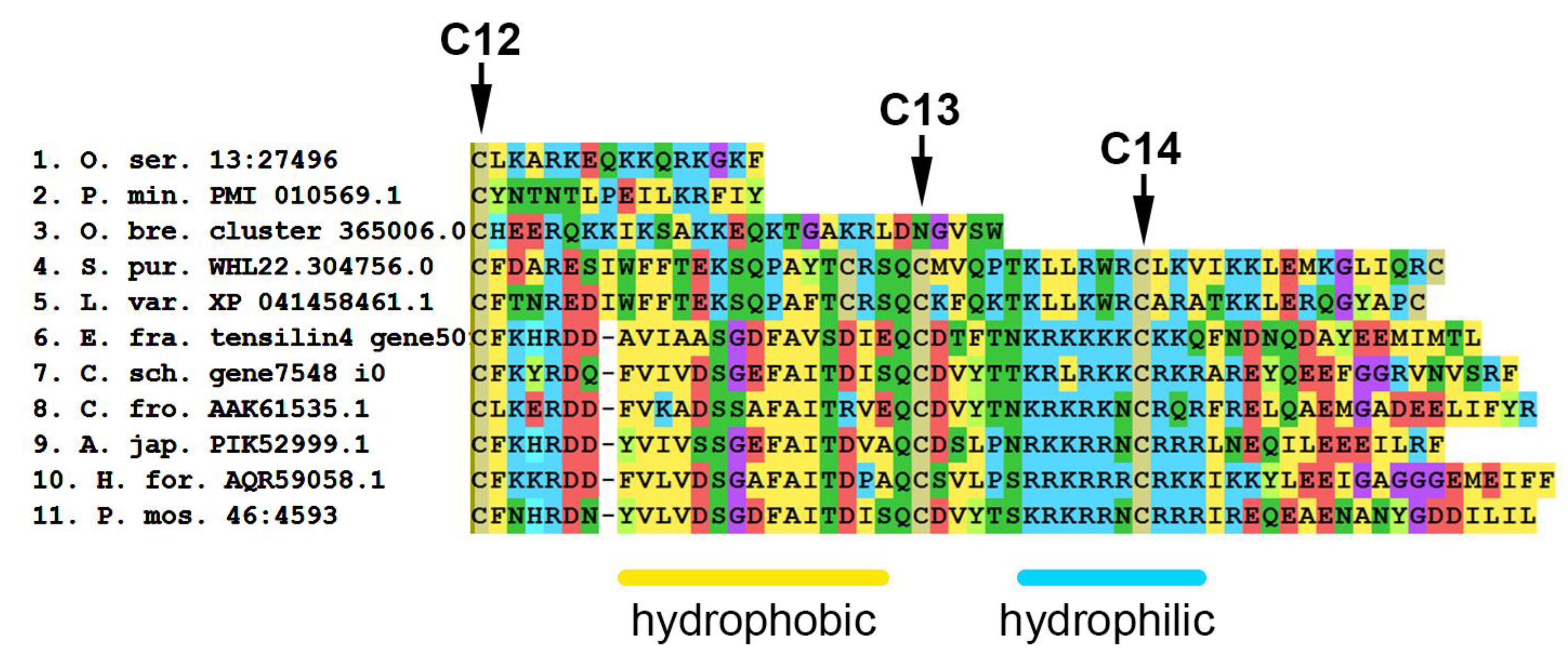 Marinedrugs 21 00417 g019