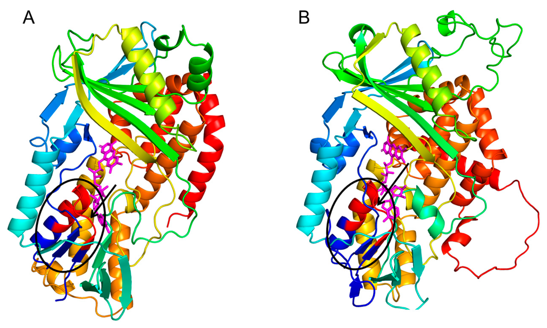 Marinedrugs 21 00418 g002