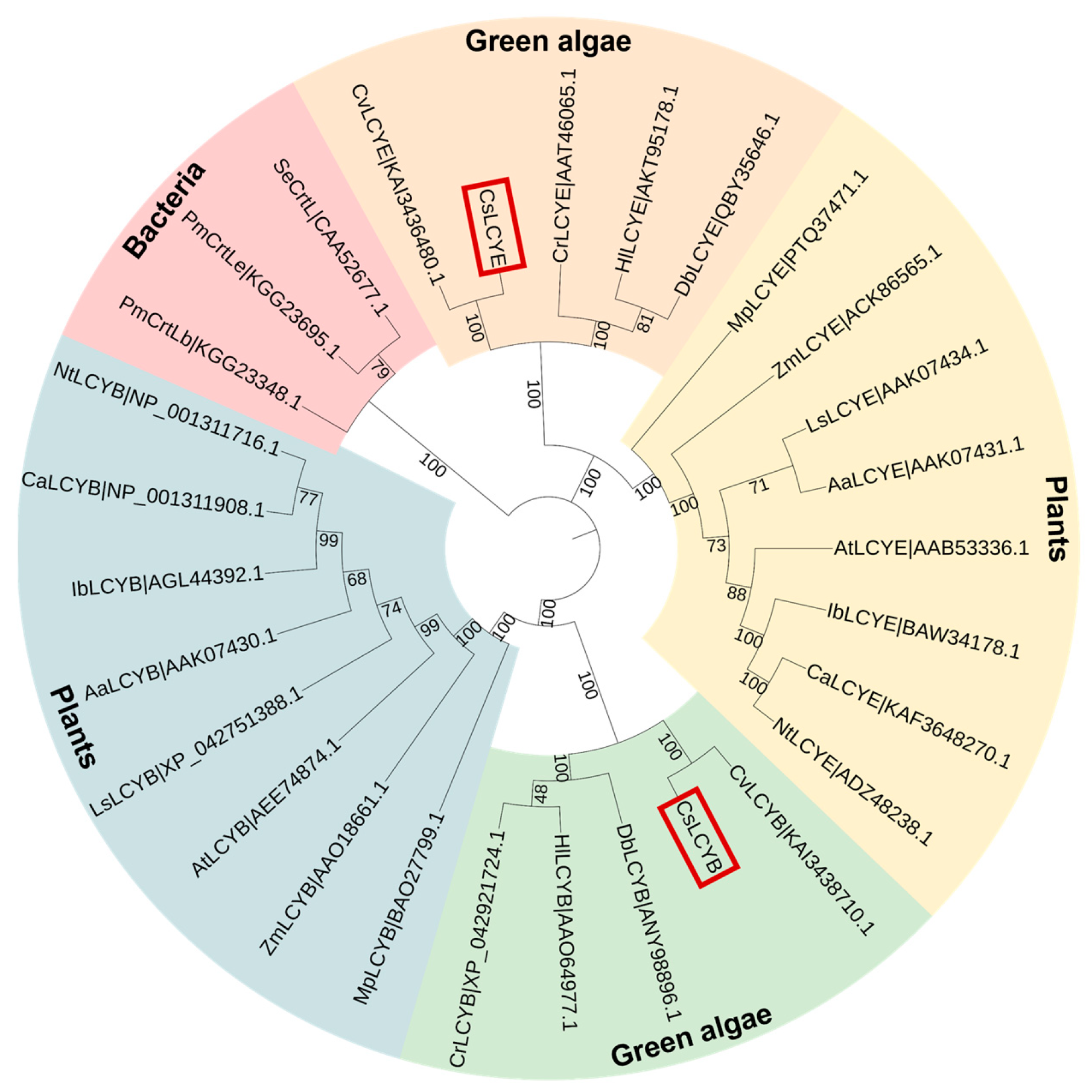 Marinedrugs 21 00418 g003