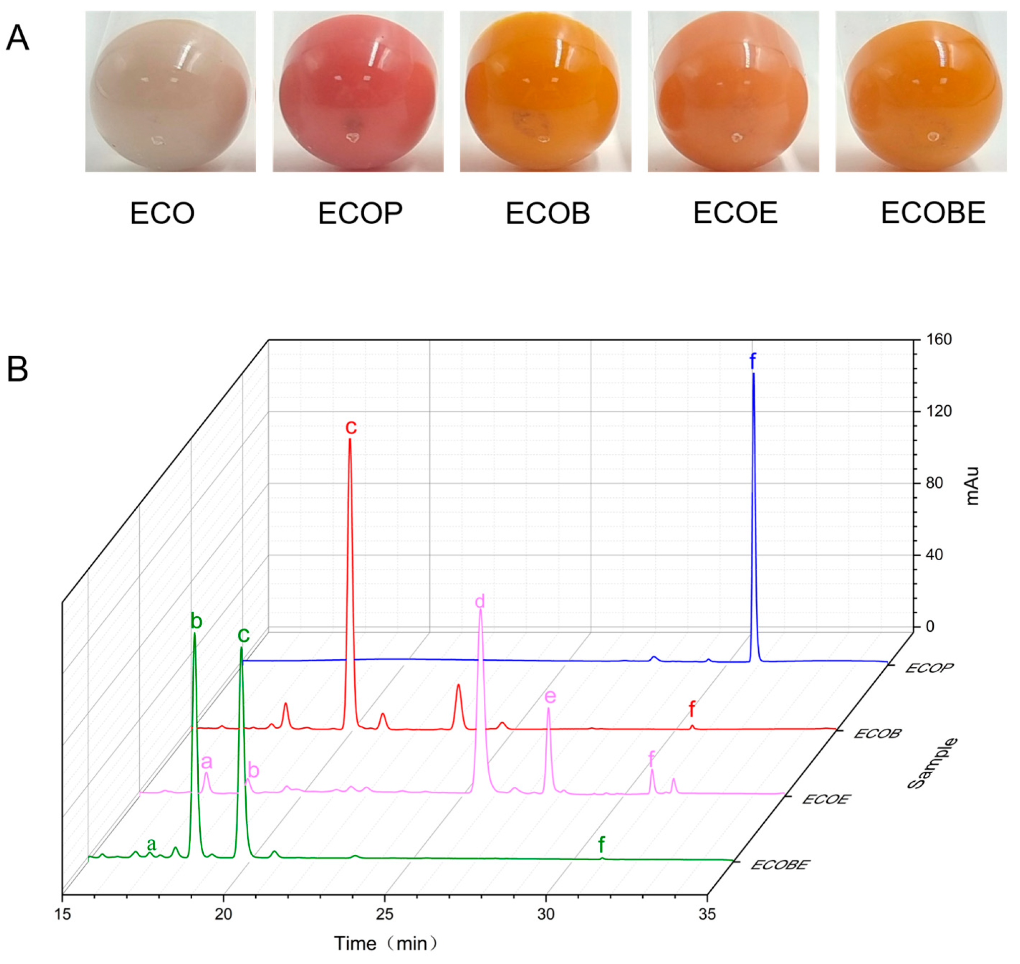 Marinedrugs 21 00418 g005