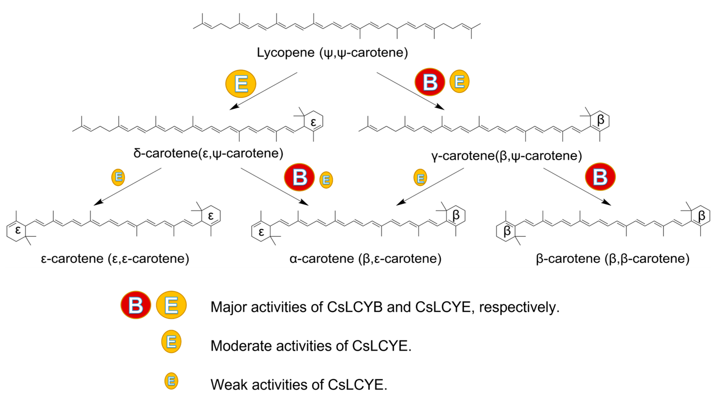 Marinedrugs 21 00418 g006