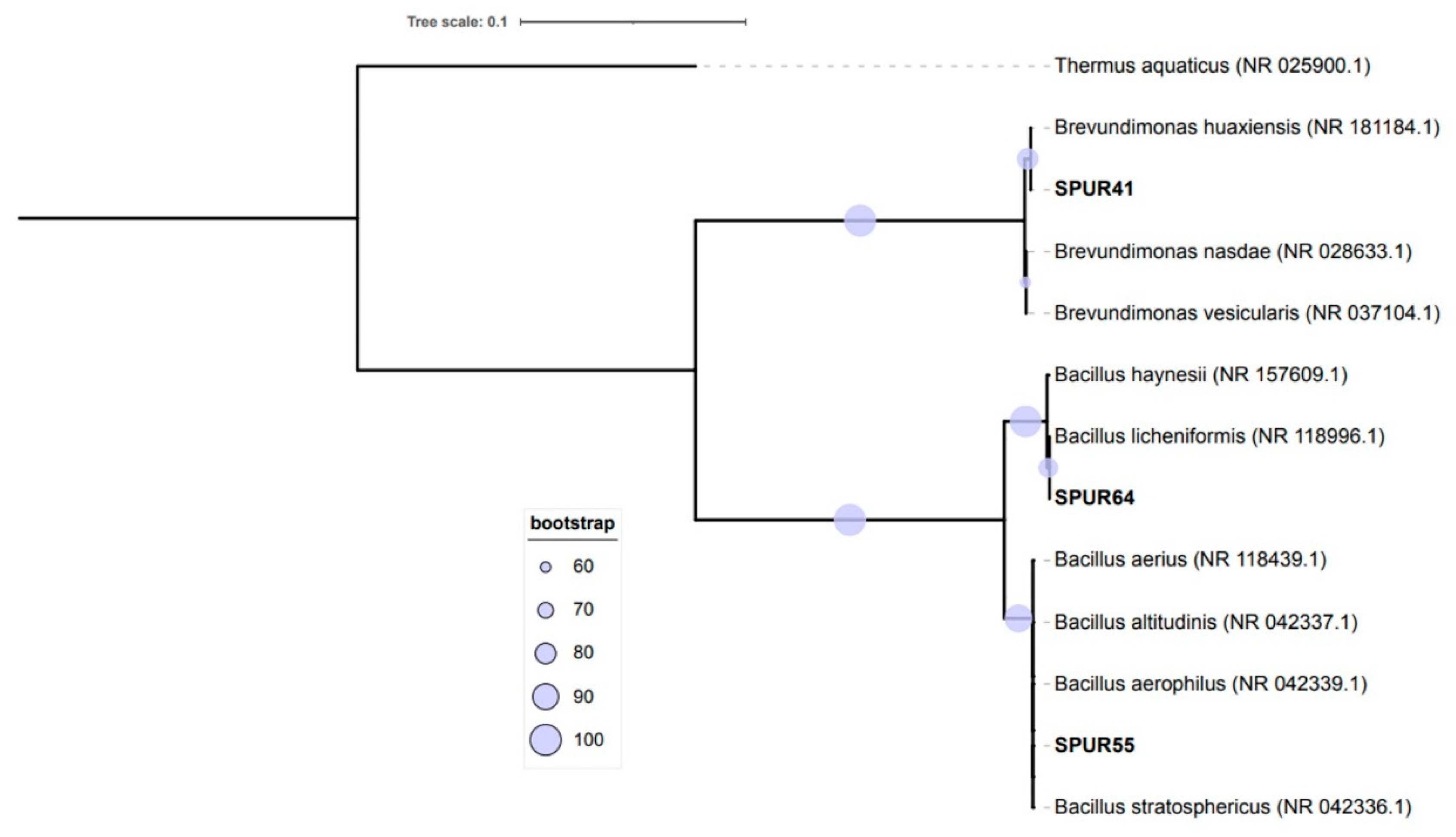Marinedrugs 21 00419 g003