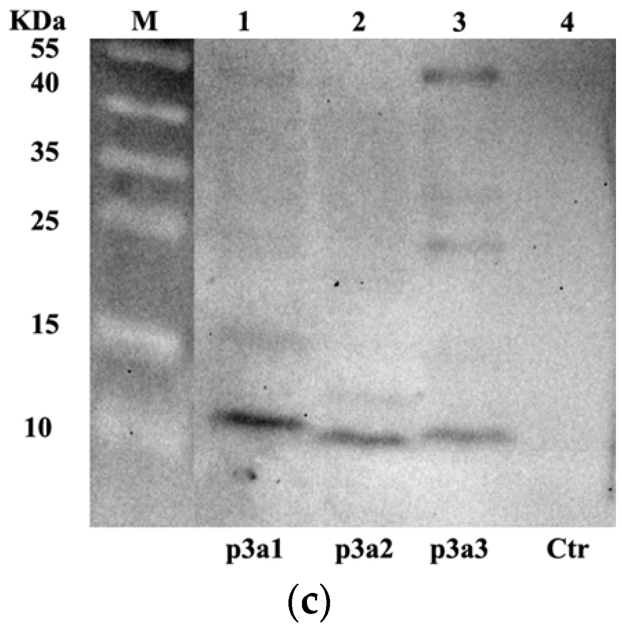 Marinedrugs 21 00421 g001b