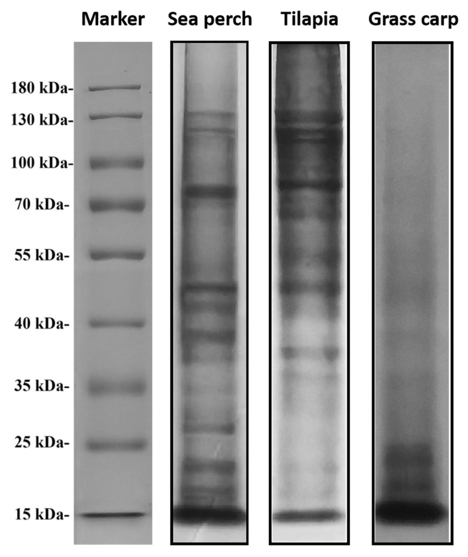 Marinedrugs 21 00423 g001