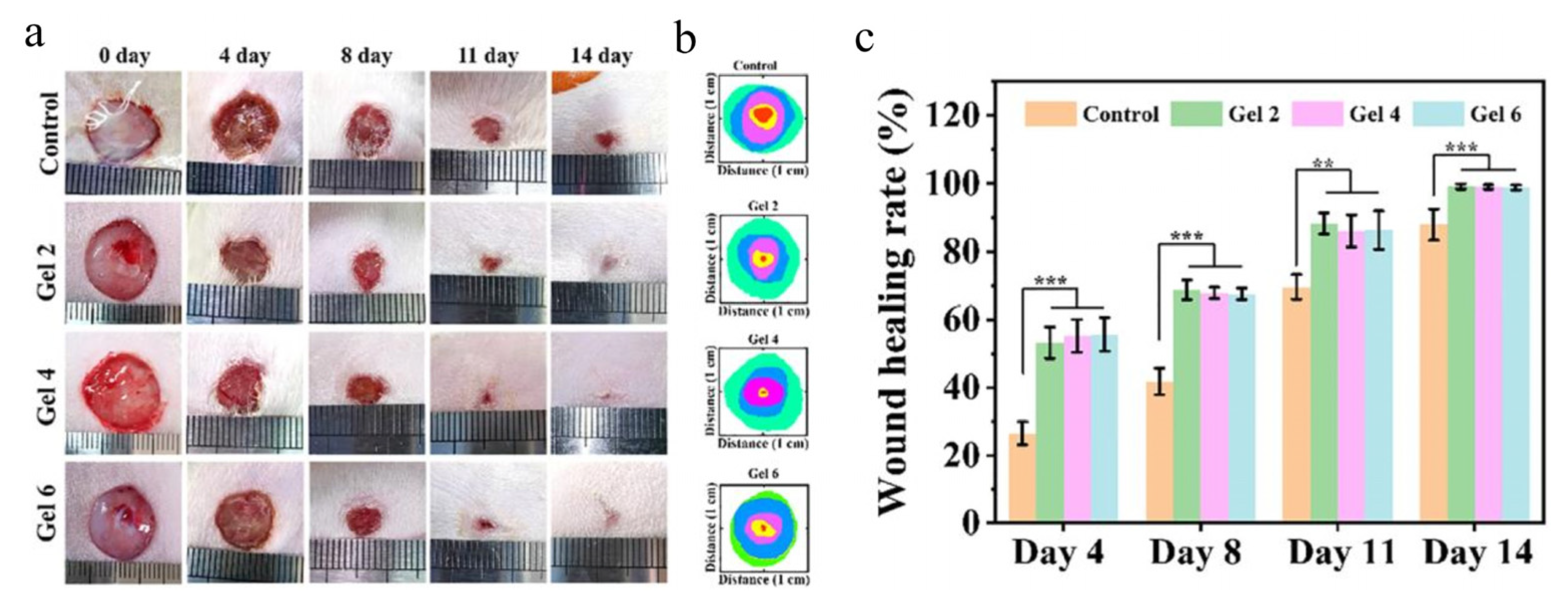 Marinedrugs 21 00426 g008